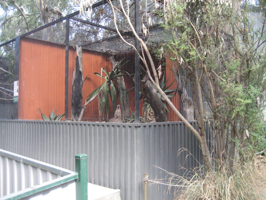 Meerkat enclosure