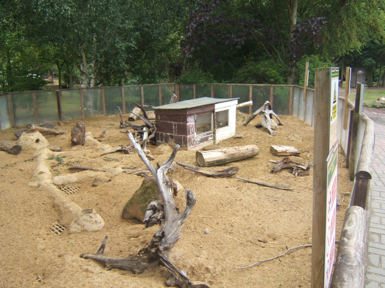 Meerkat enclosure