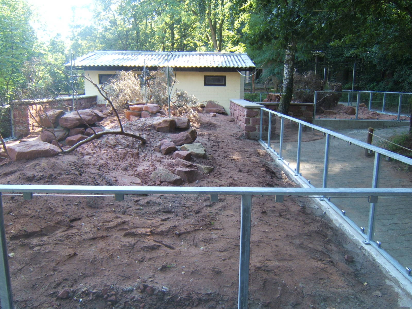 Meerkat enclosure