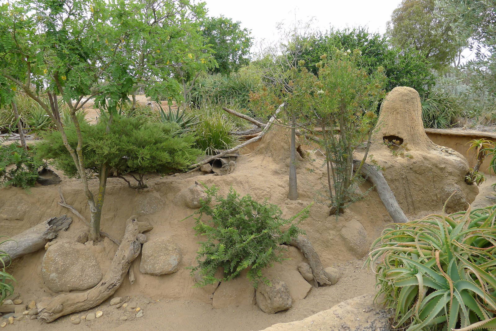 Meerkat enclosure