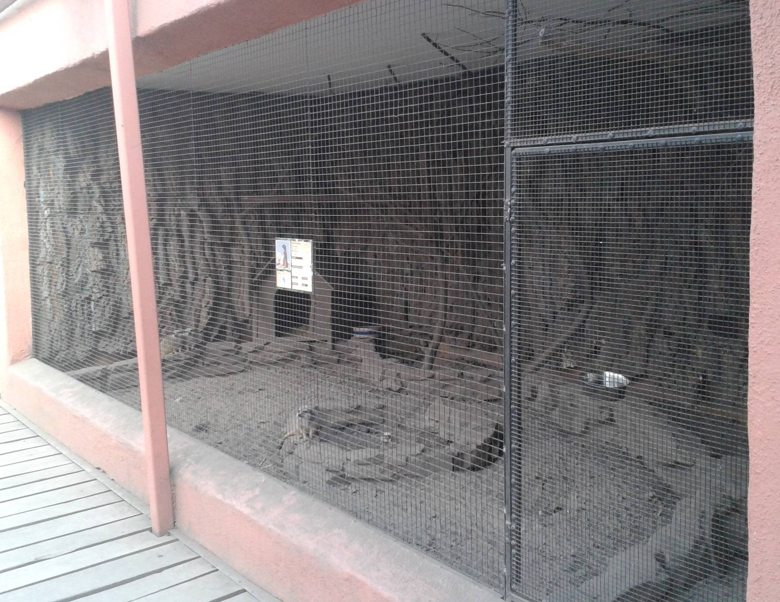 Meerkat enclosure