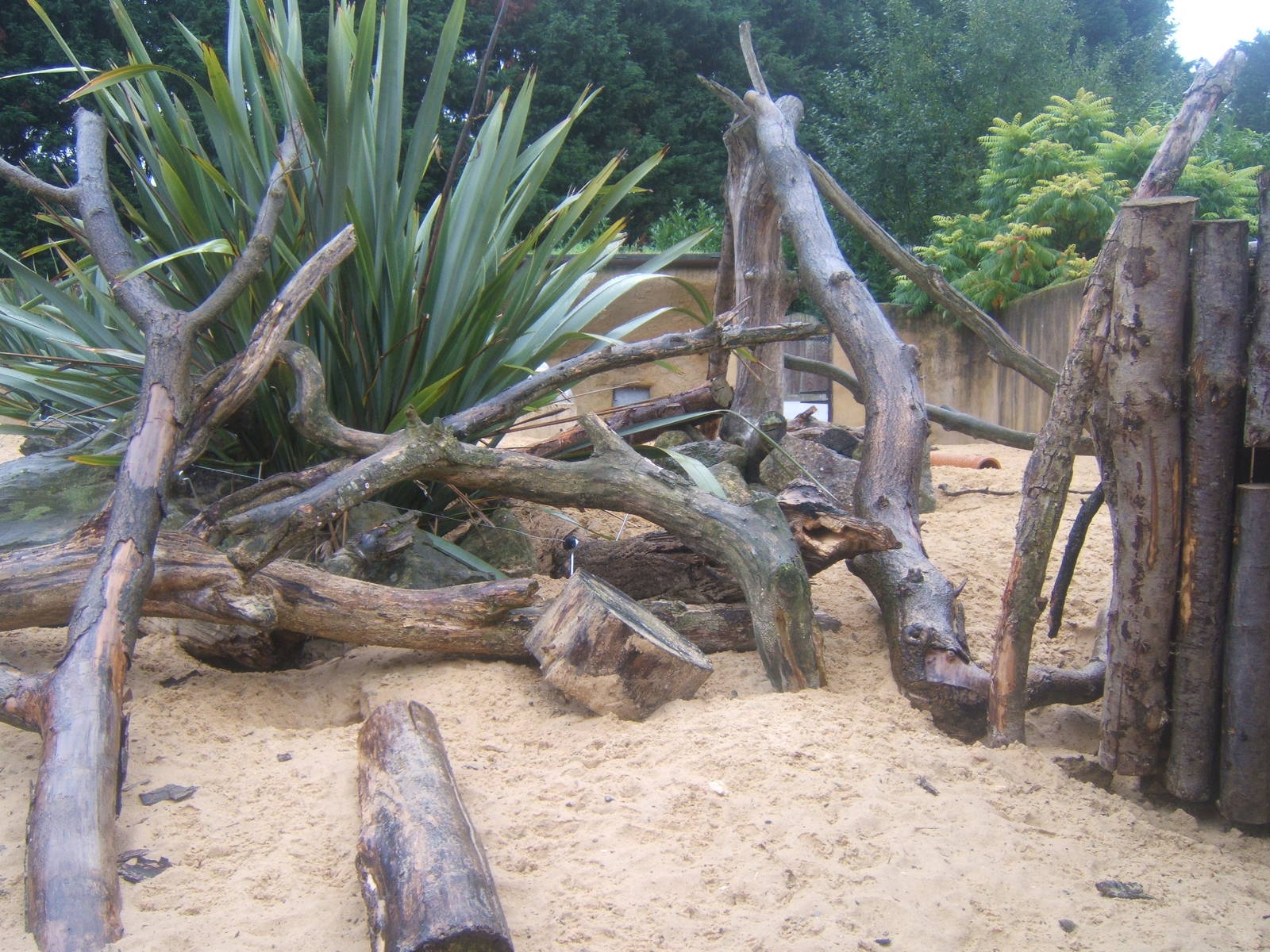 Meerkat enclosure