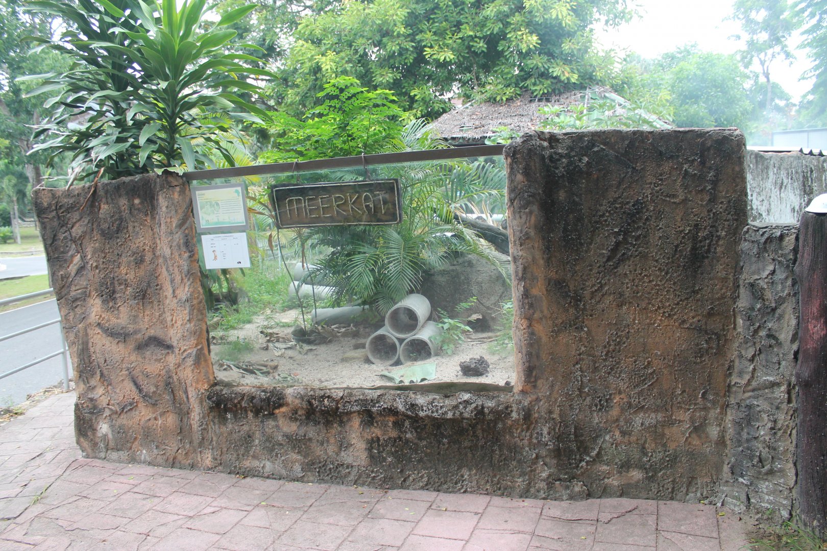 Meerkat enclosure