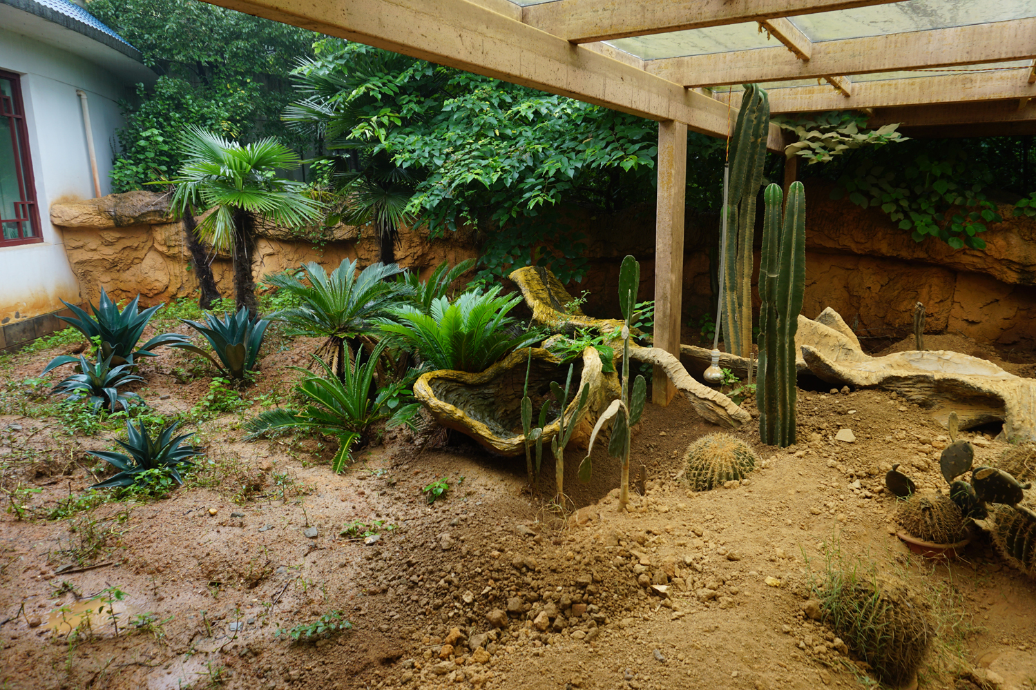 Meerkat enclosure