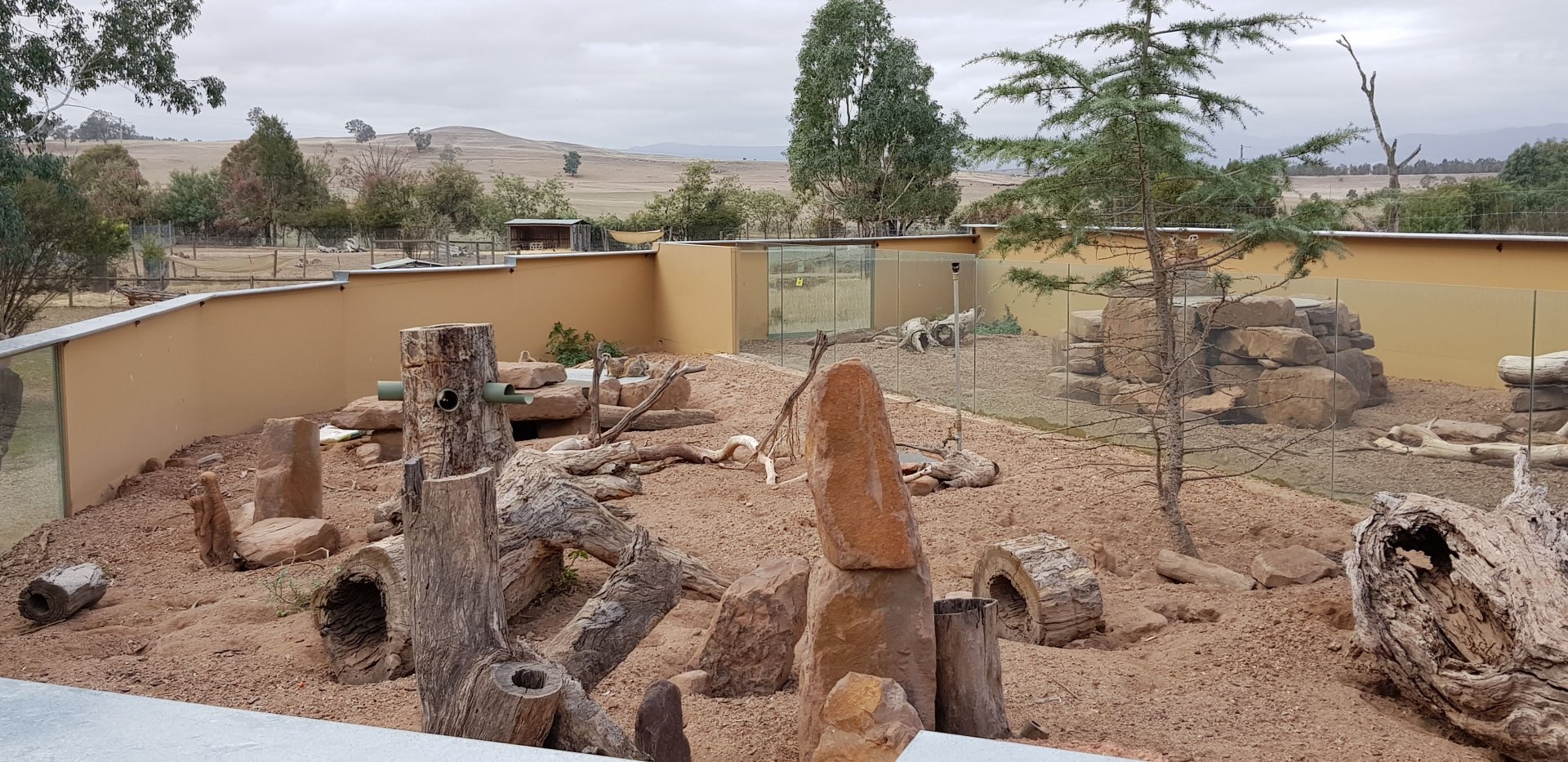 Meerkat enclosure