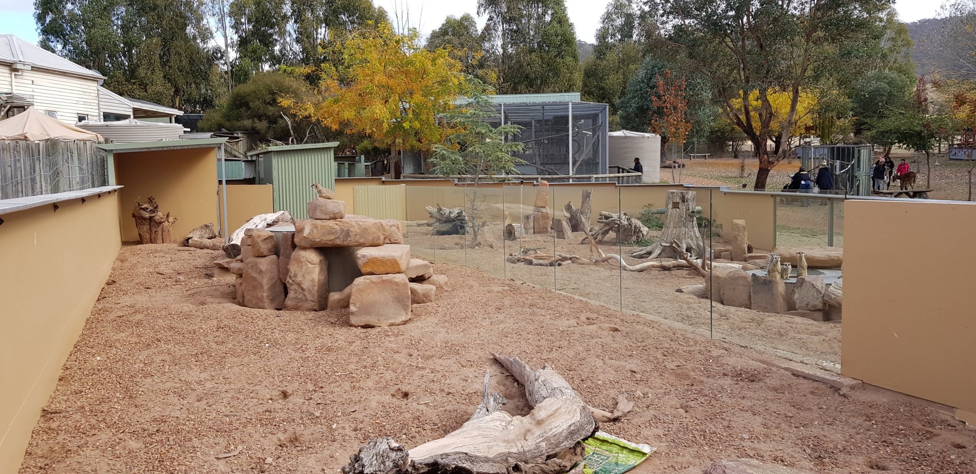 Meerkat enclosure