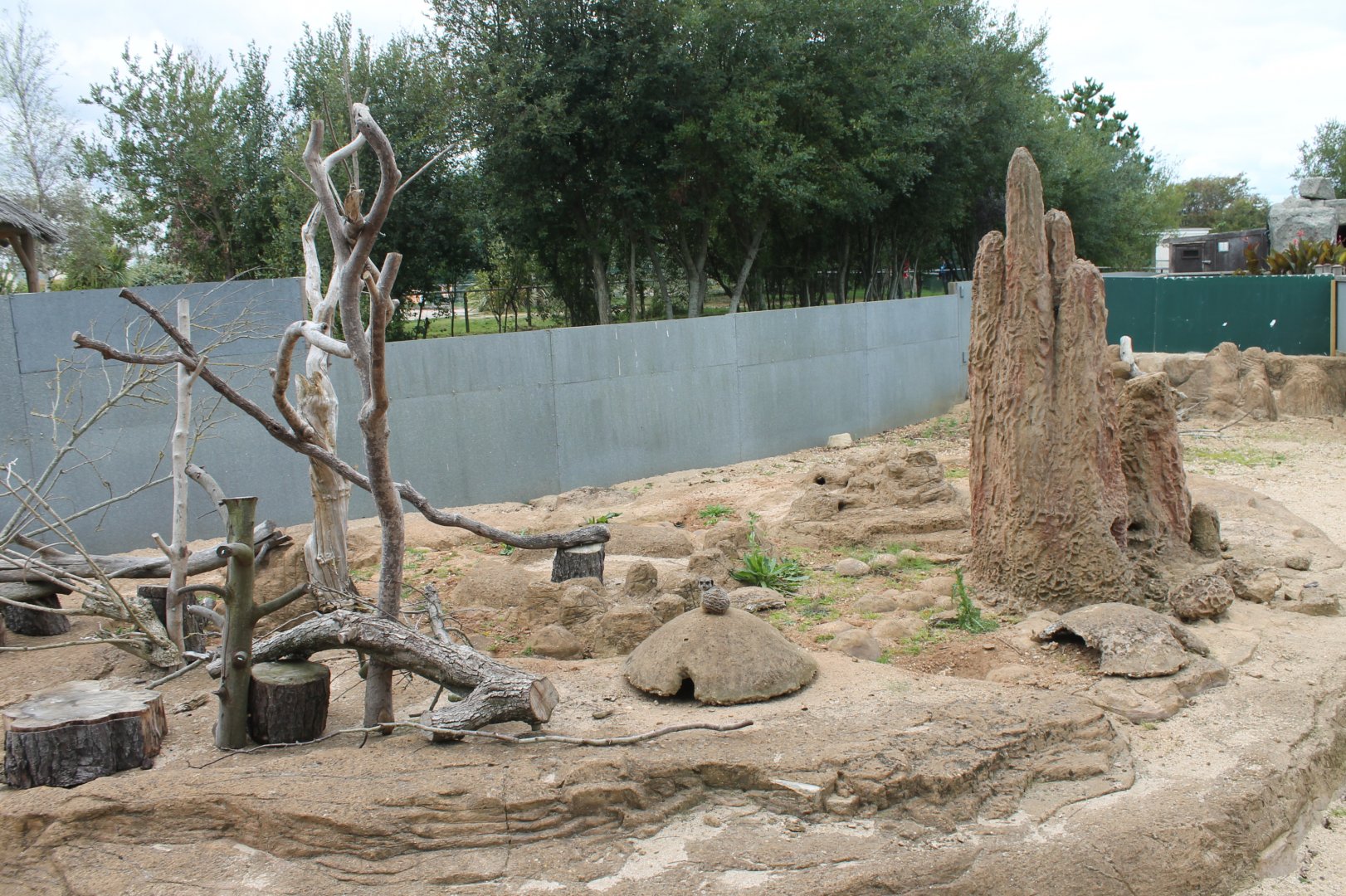 Meerkat Enclosure