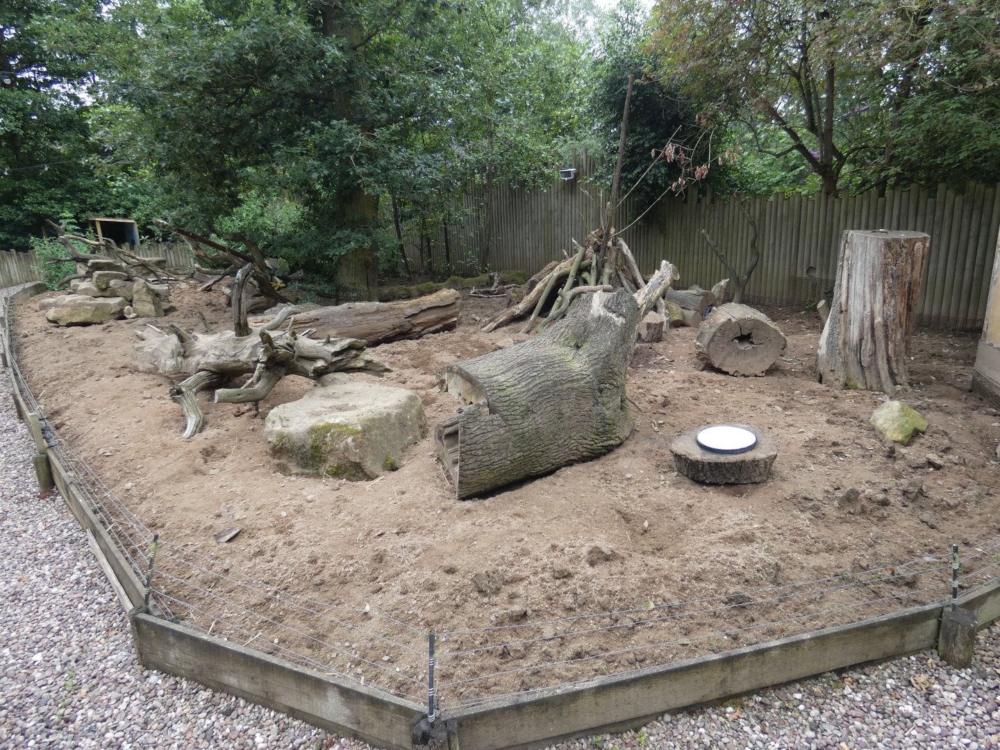 Meerkat enclosure
