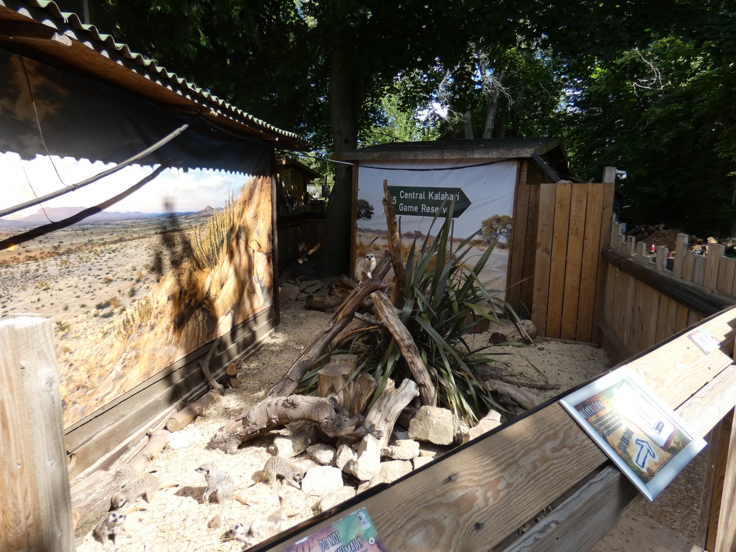 Meerkat enclosure