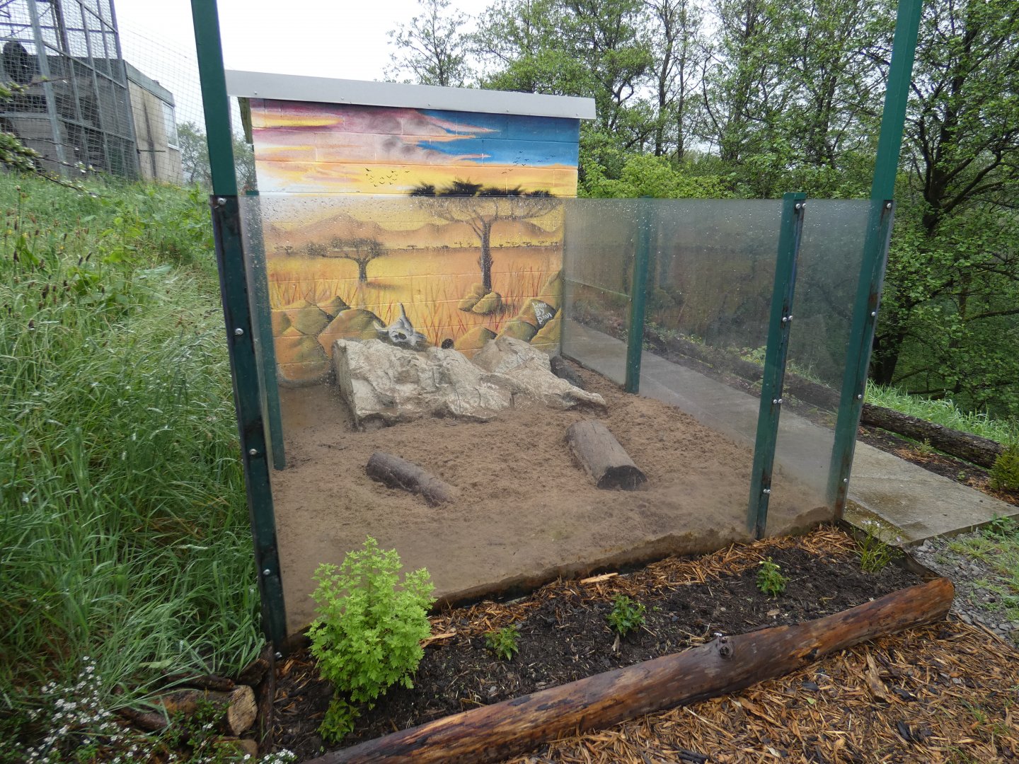 Meerkat enclosure