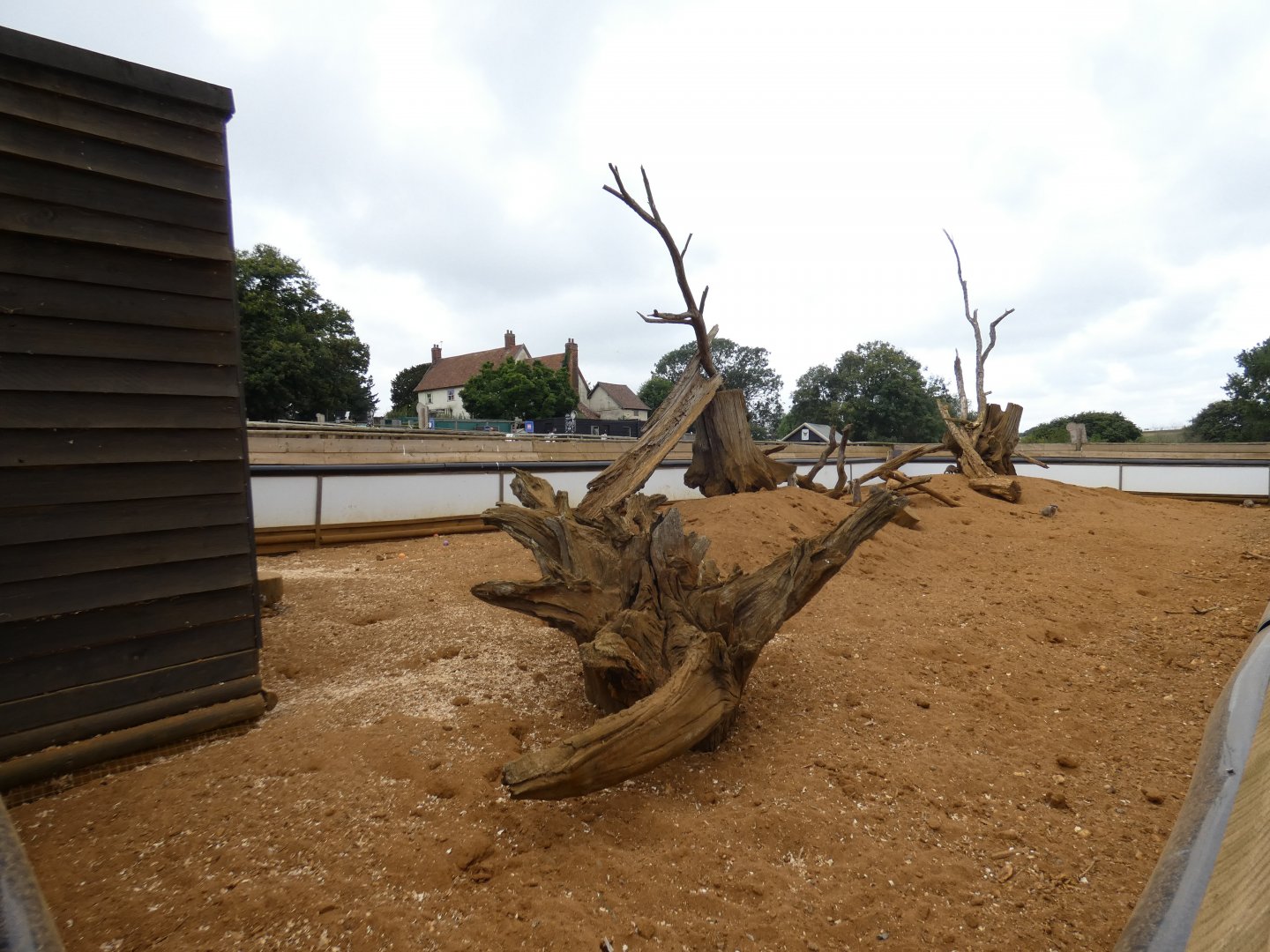Meerkat enclosure