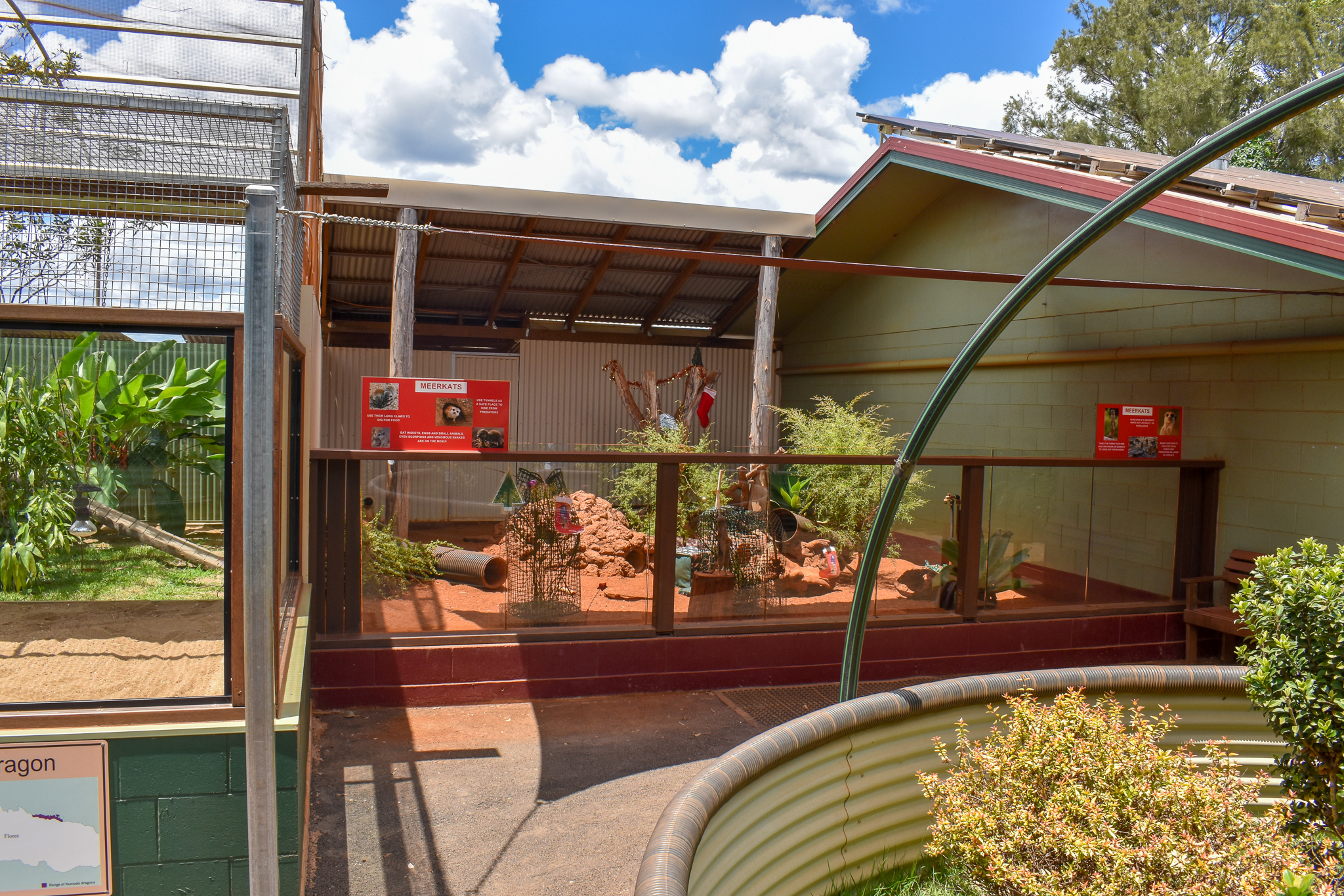 Meerkat Enclosure