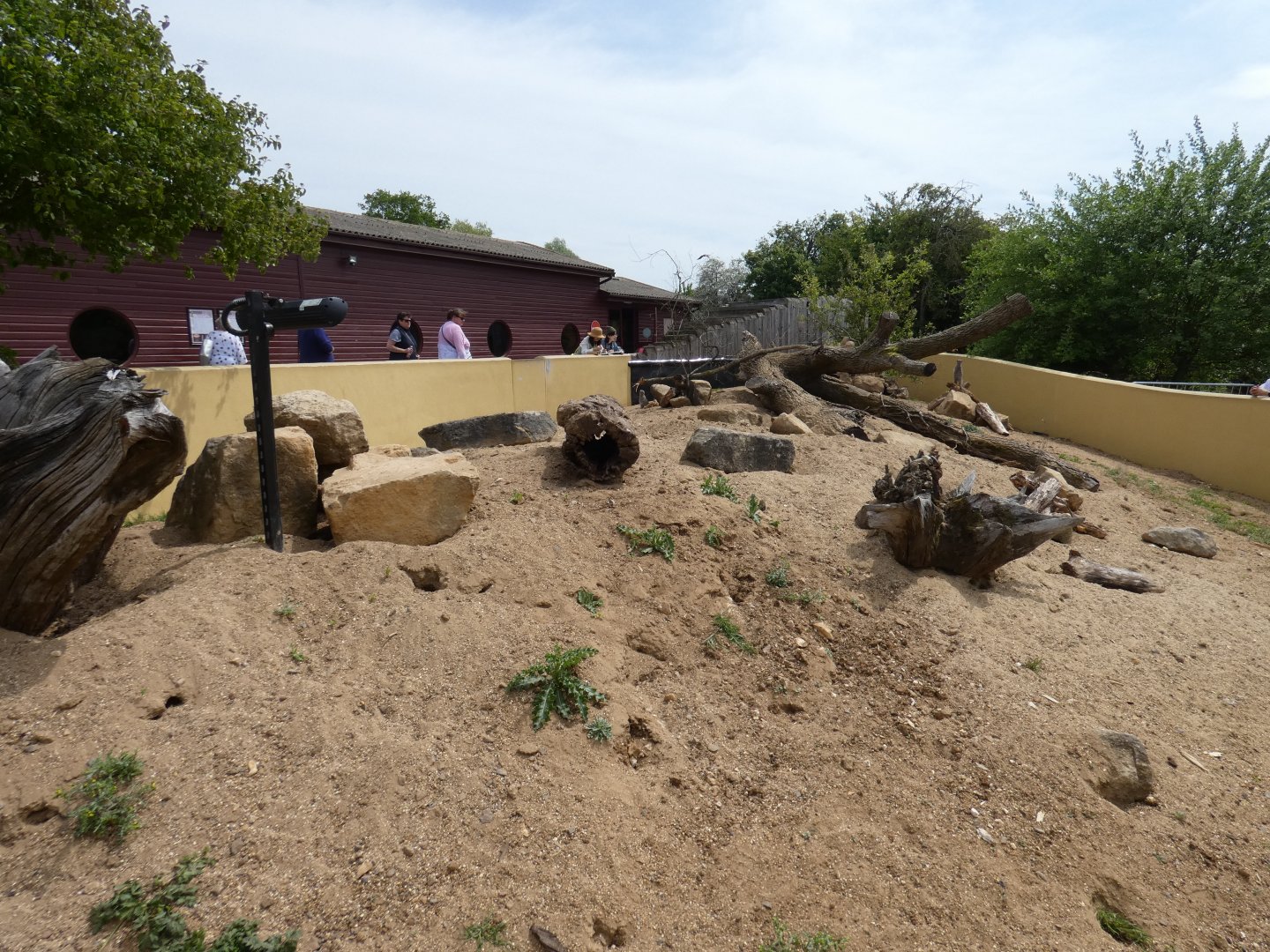 Meerkat enclosure