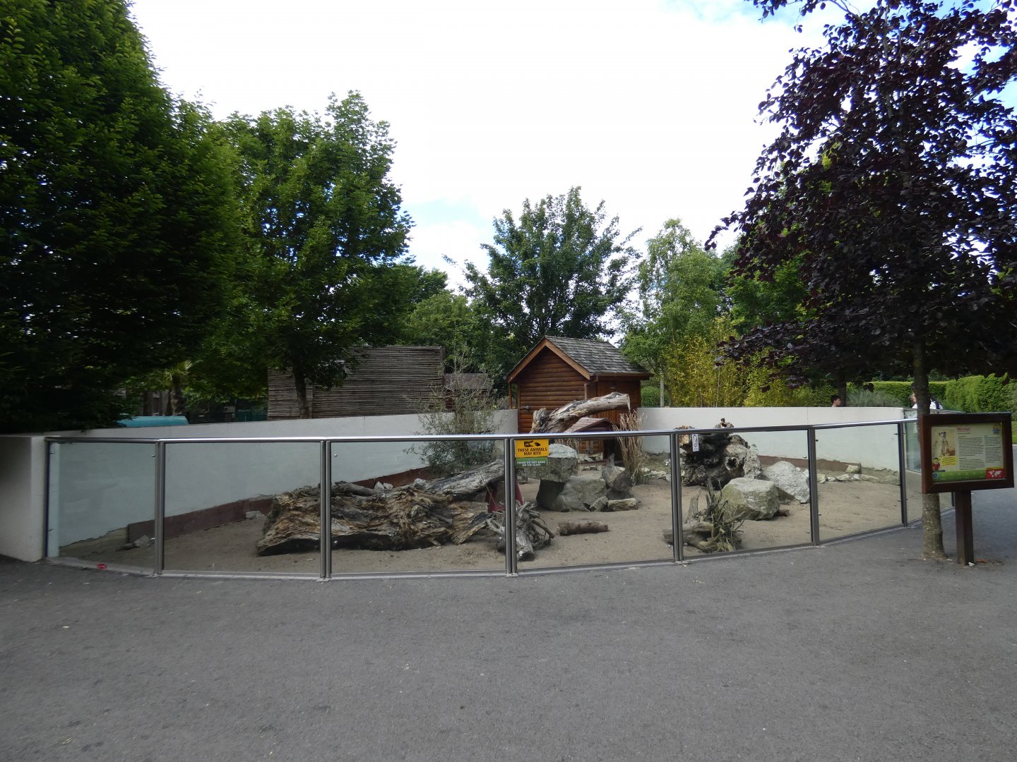 Meerkat enclosure