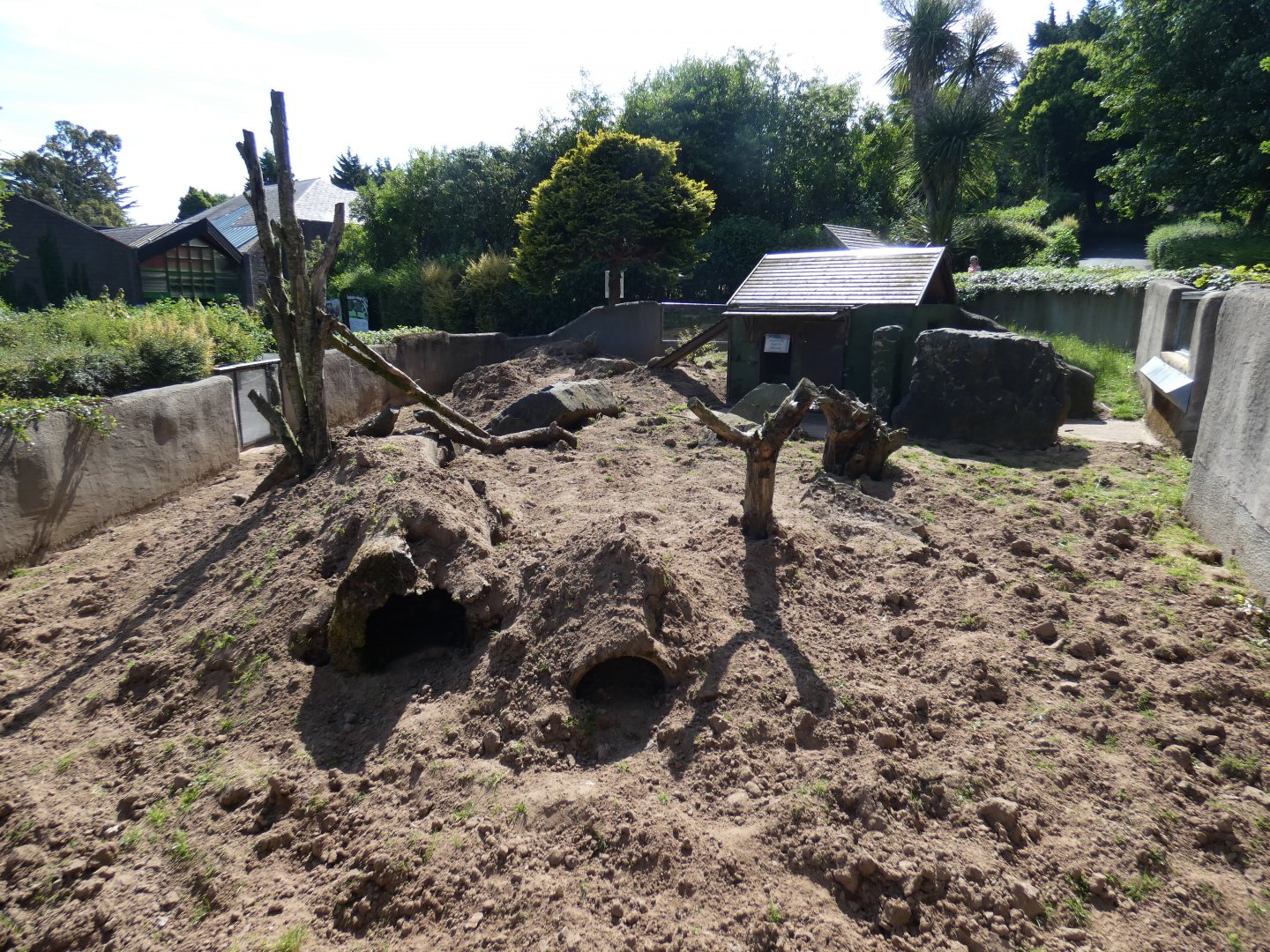 Meerkat enclosure