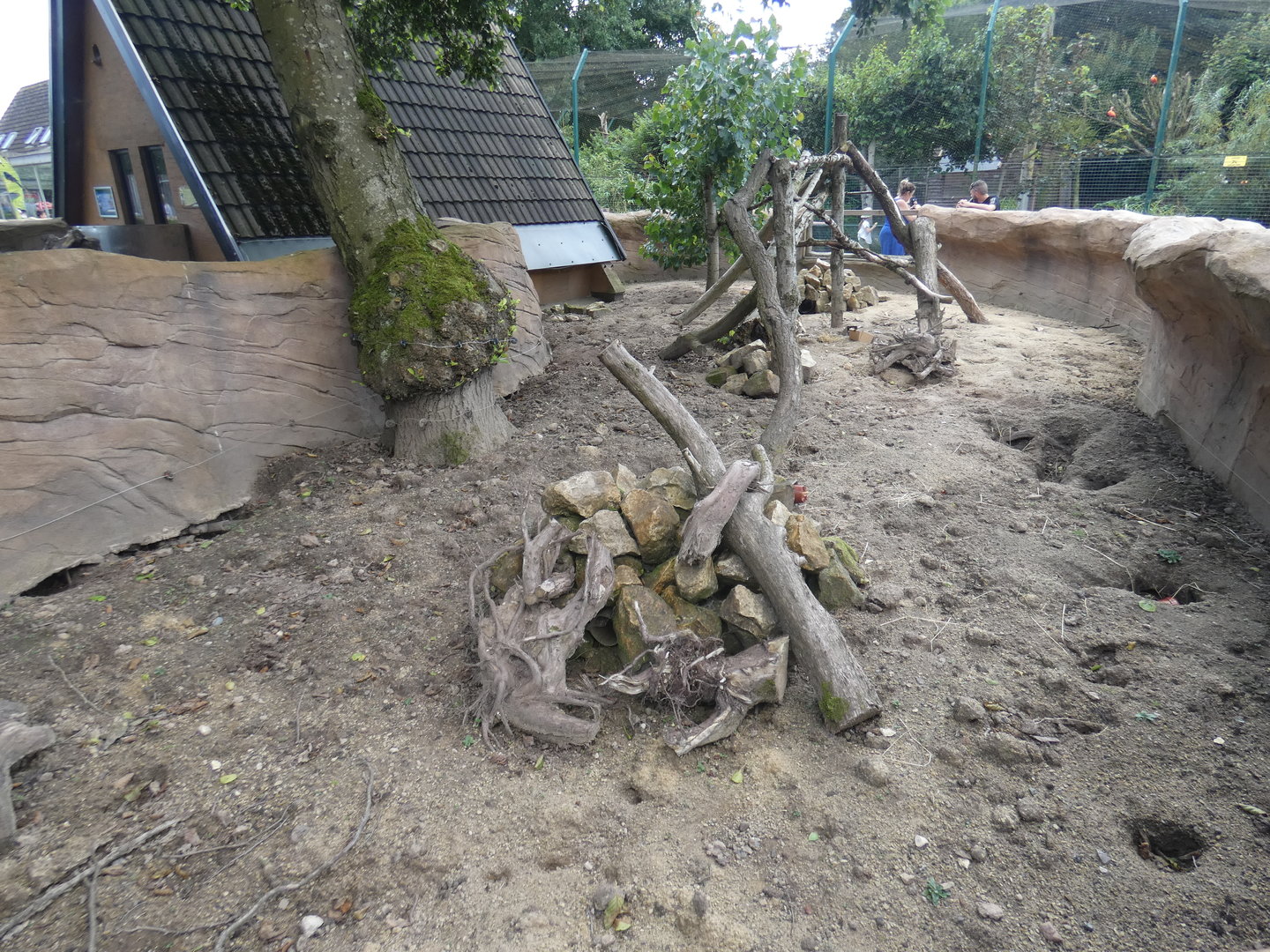 Meerkat enclosure