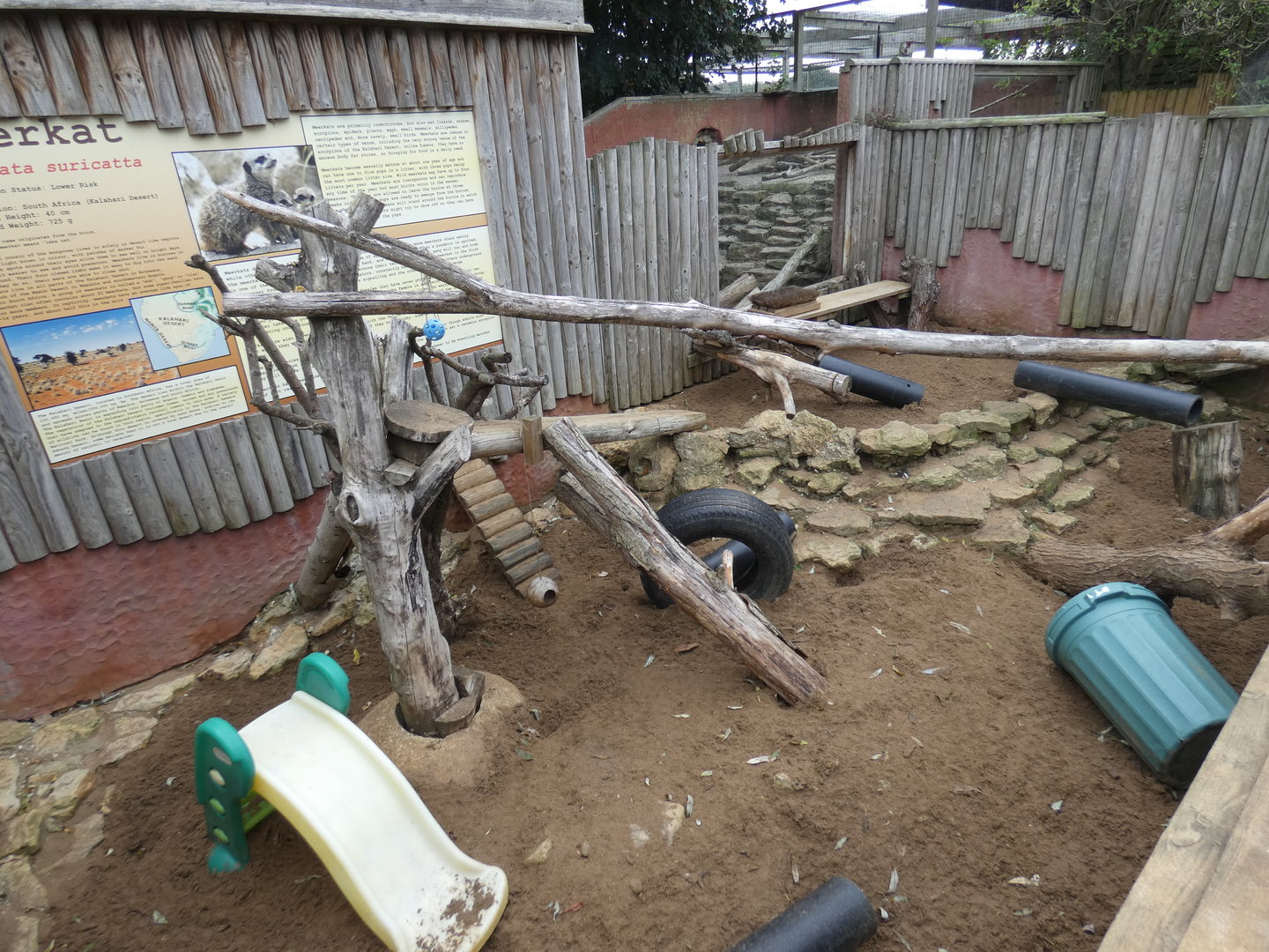 Meerkat enclosure