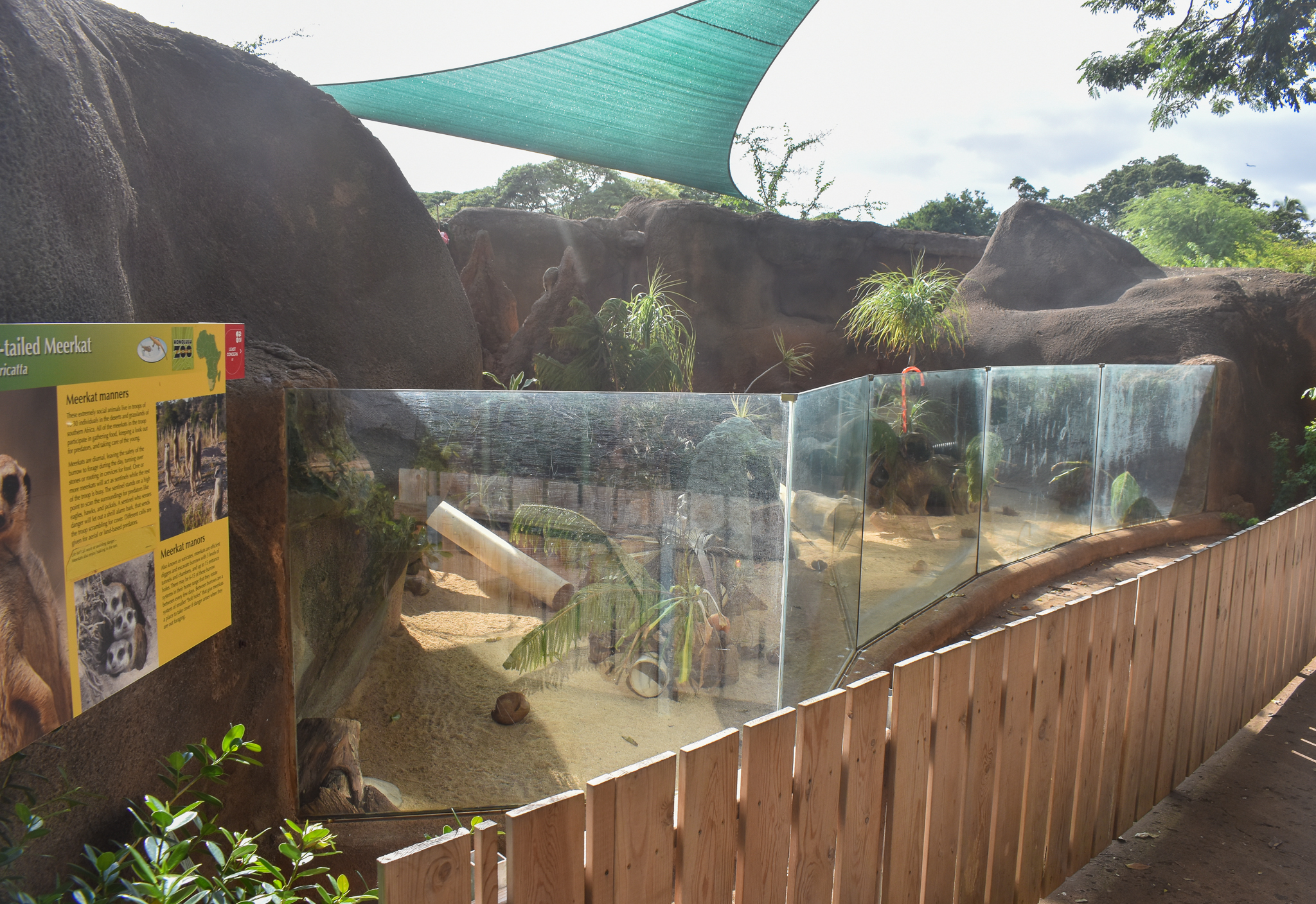 Meerkat enclosure