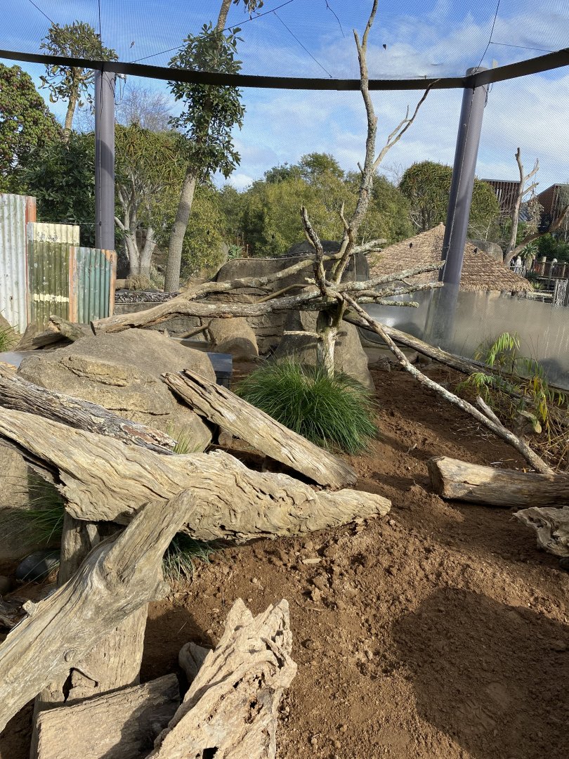 Meerkat enclosure