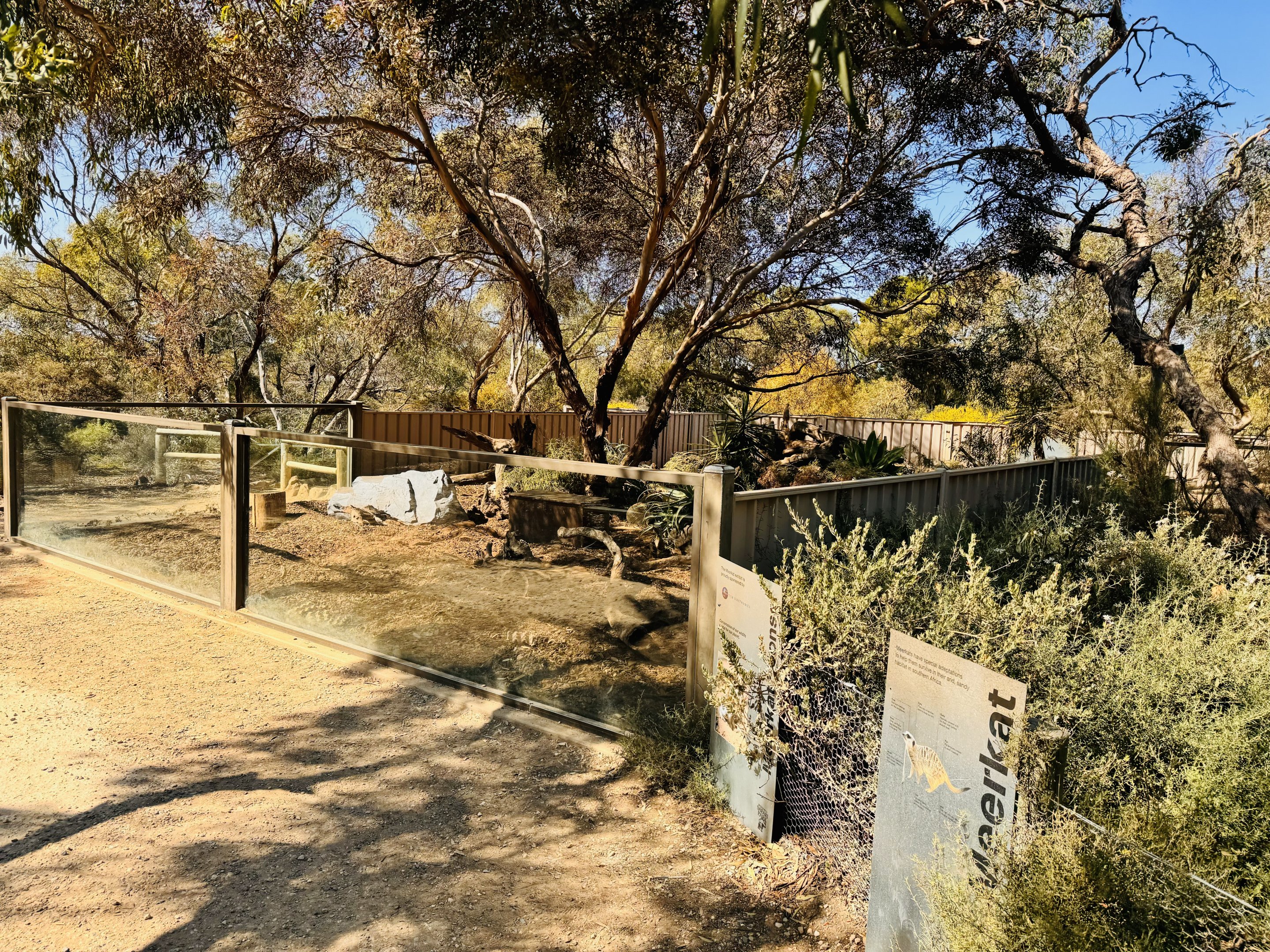 Meerkat enclosure