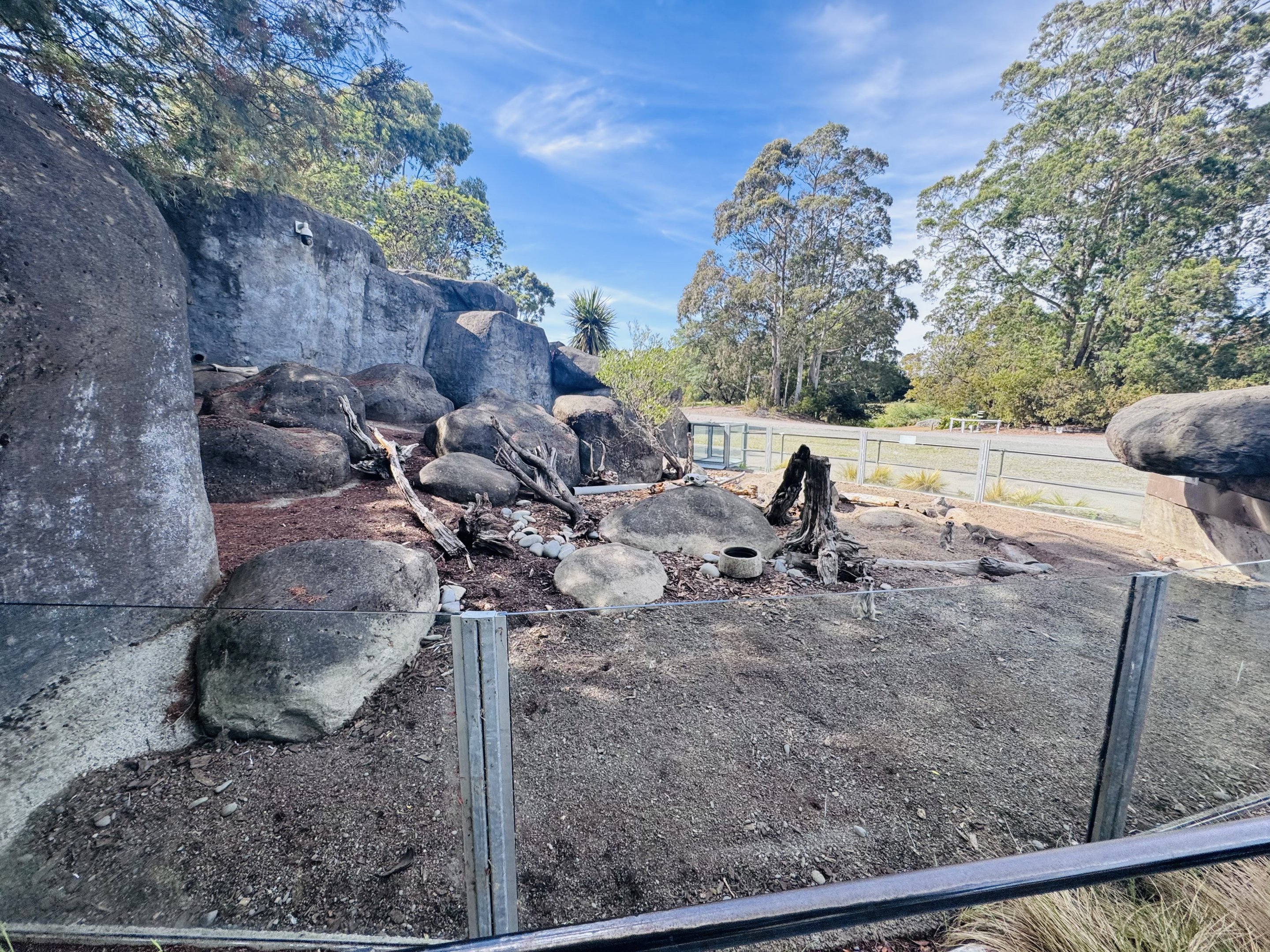 Meerkat enclosure