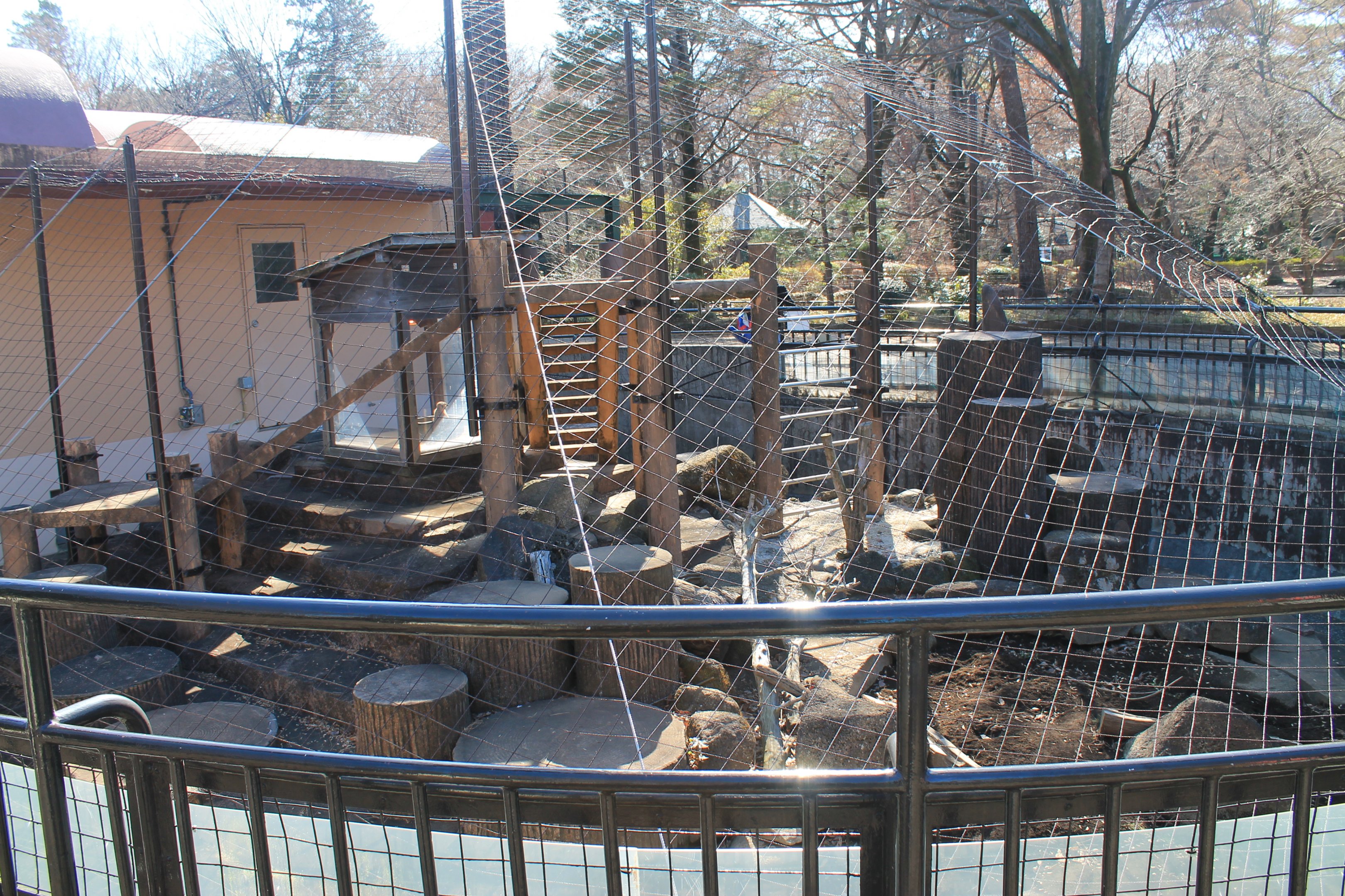 Meerkat enclosure