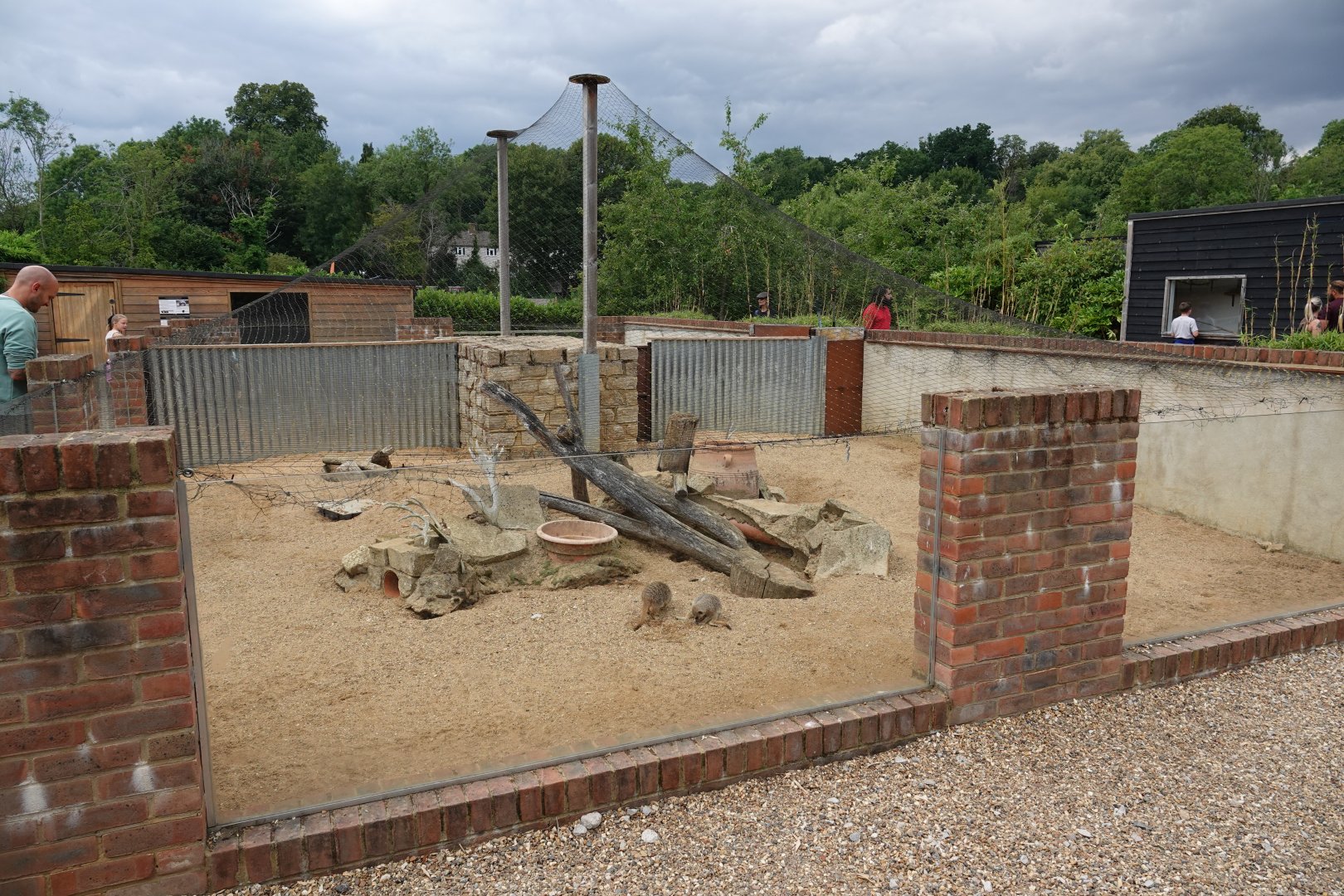 Meerkat enclosure