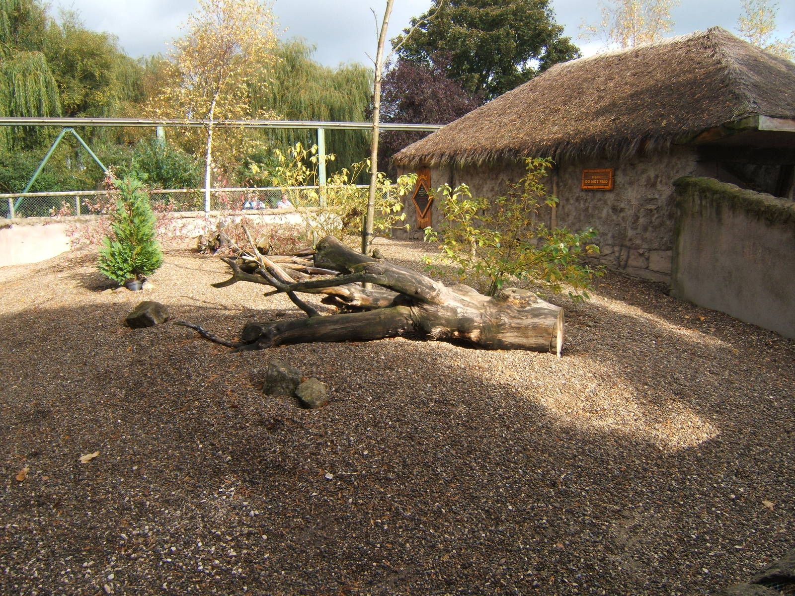 Meerkat Enclosureand House