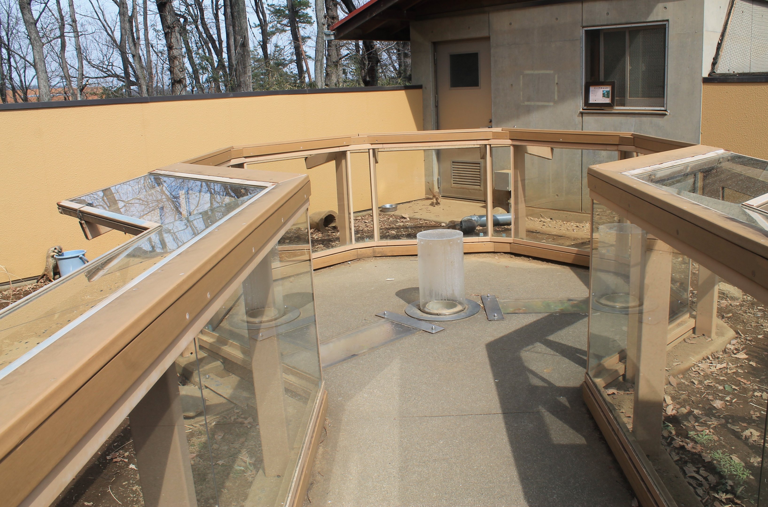 Meerkat enclosures - Saitama Childrens Zoo