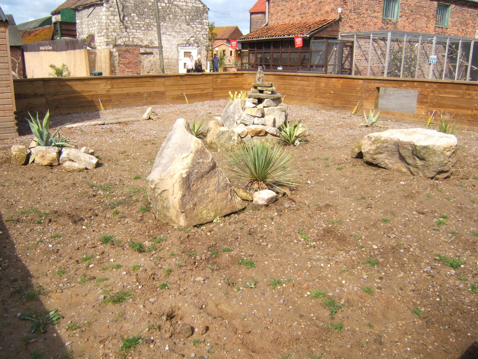 Meerkat enclosures