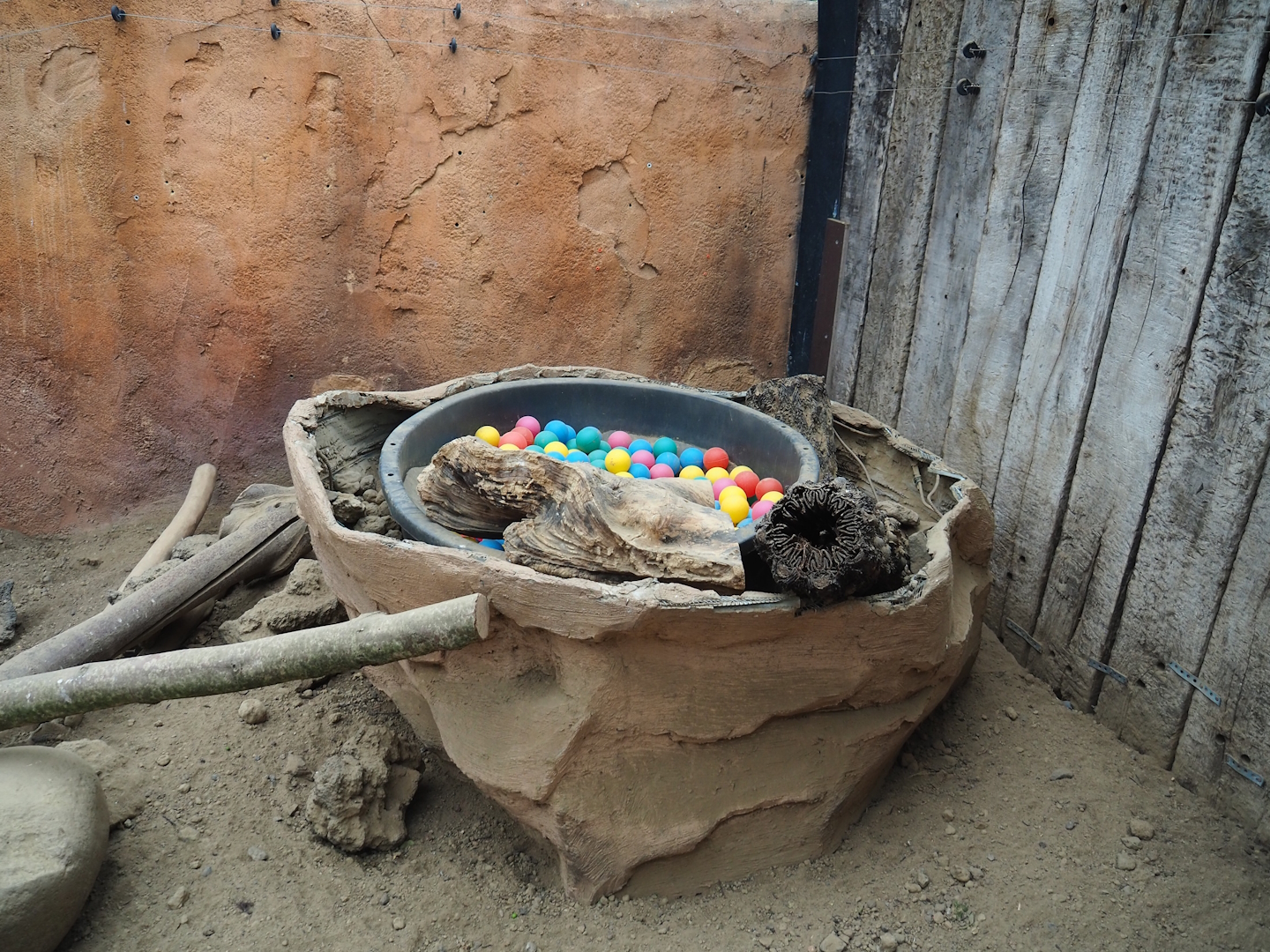 Meerkat enrichment tub, 2023-05-15