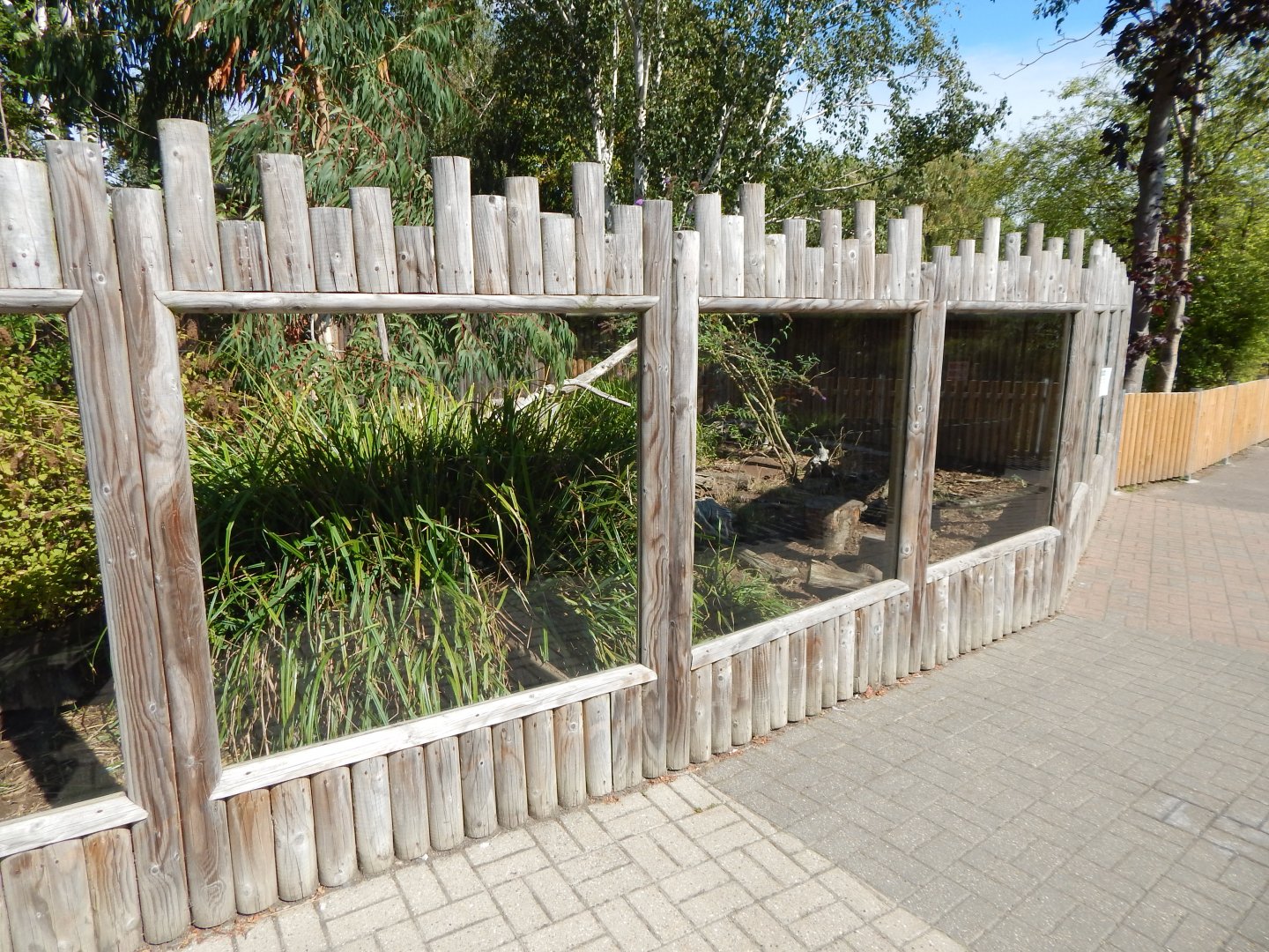 Meerkat exhibit 030924