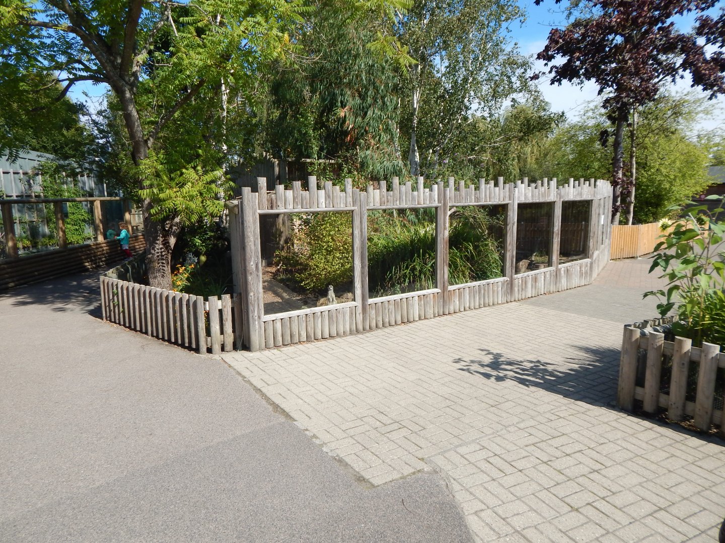 Meerkat exhibit 030924