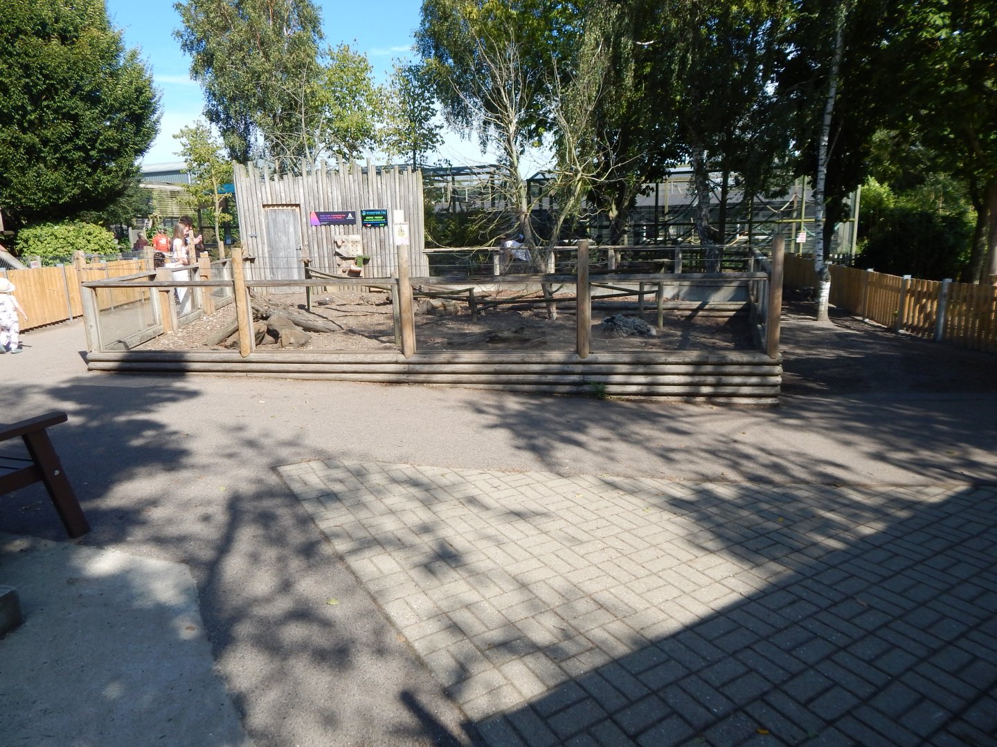 Meerkat exhibit 030924