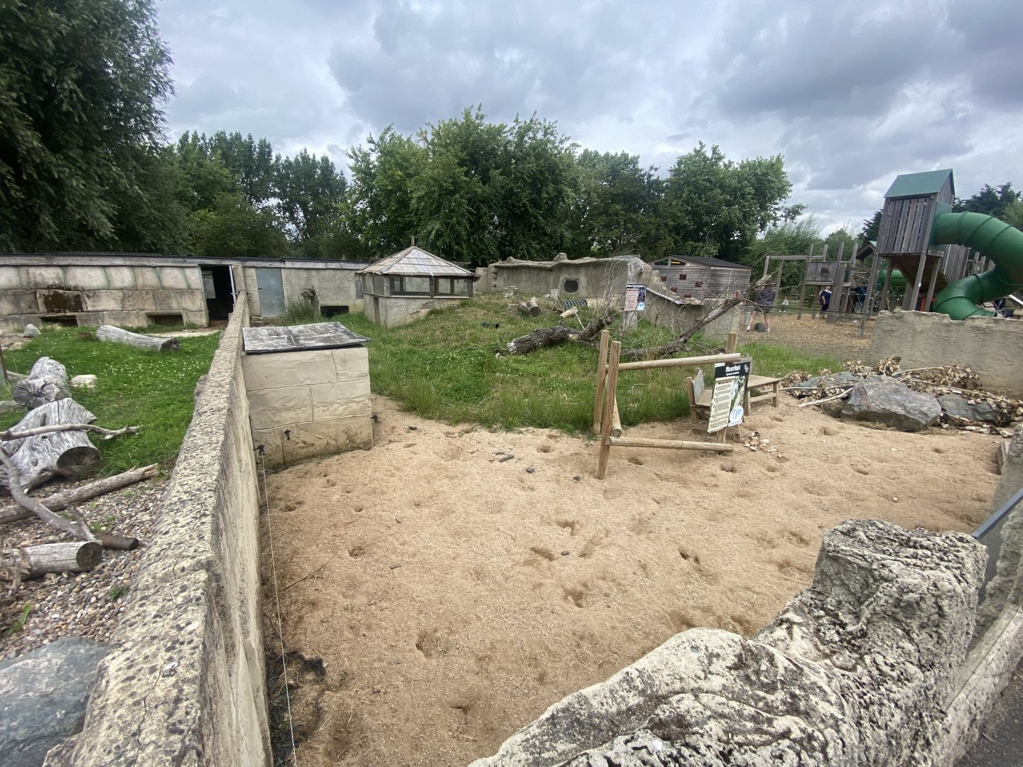 Meerkat exhibit 040824