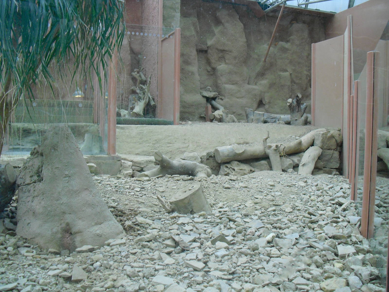 Meerkat Exhibit - 12/10/2011