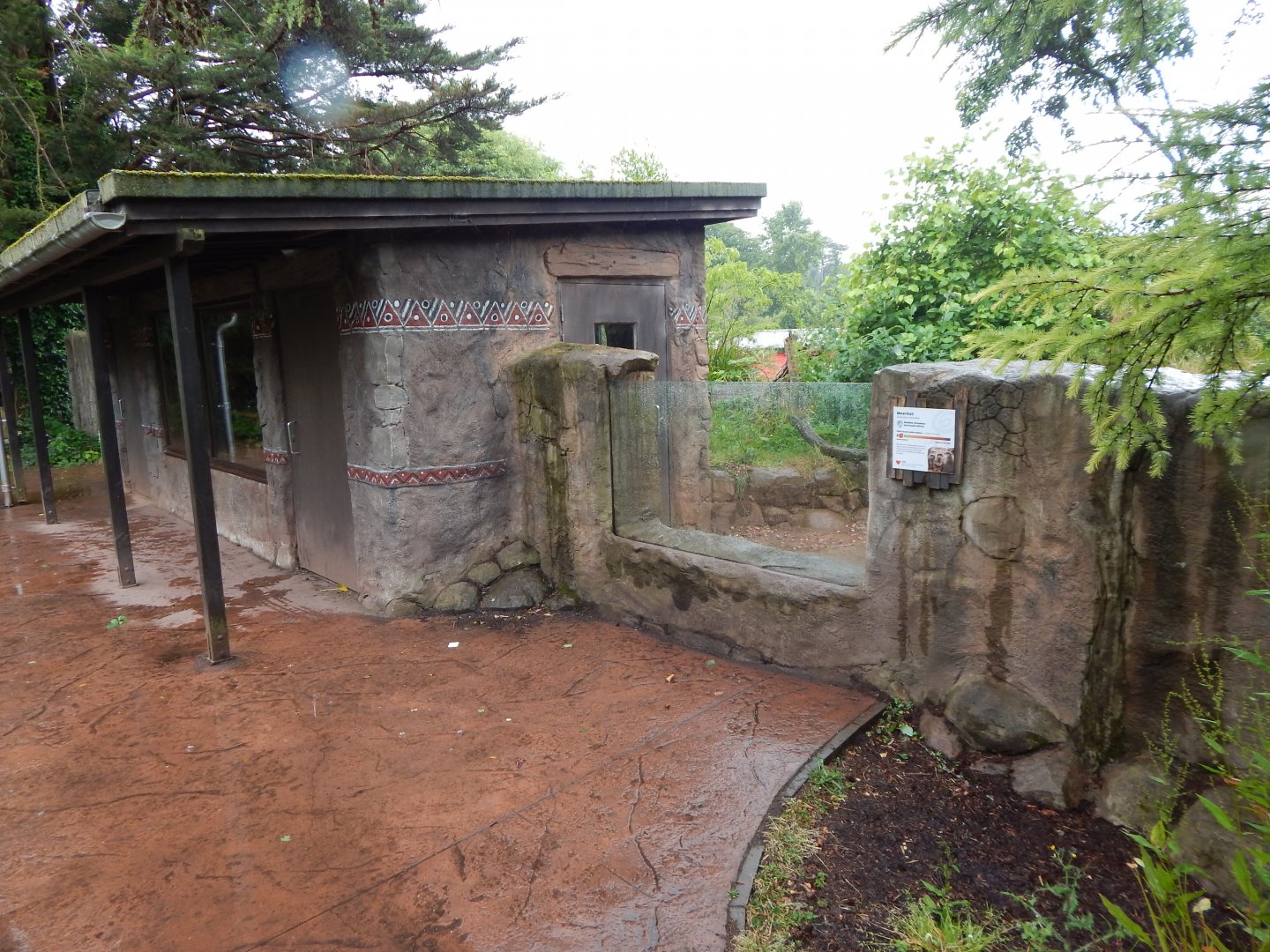 Meerkat exhibit 130624