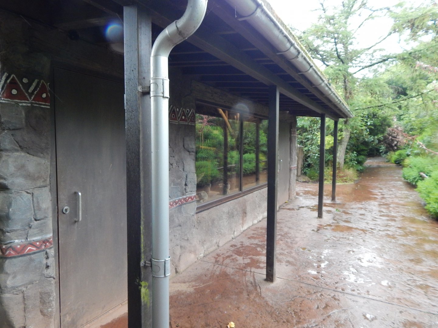 Meerkat exhibit 130624