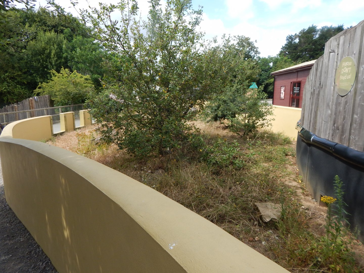 Meerkat exhibit 150725