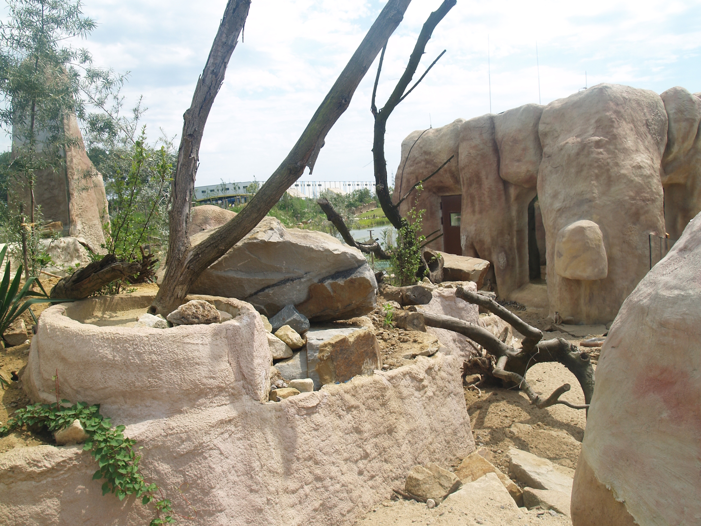 Meerkat exhibit, 2007-07-15