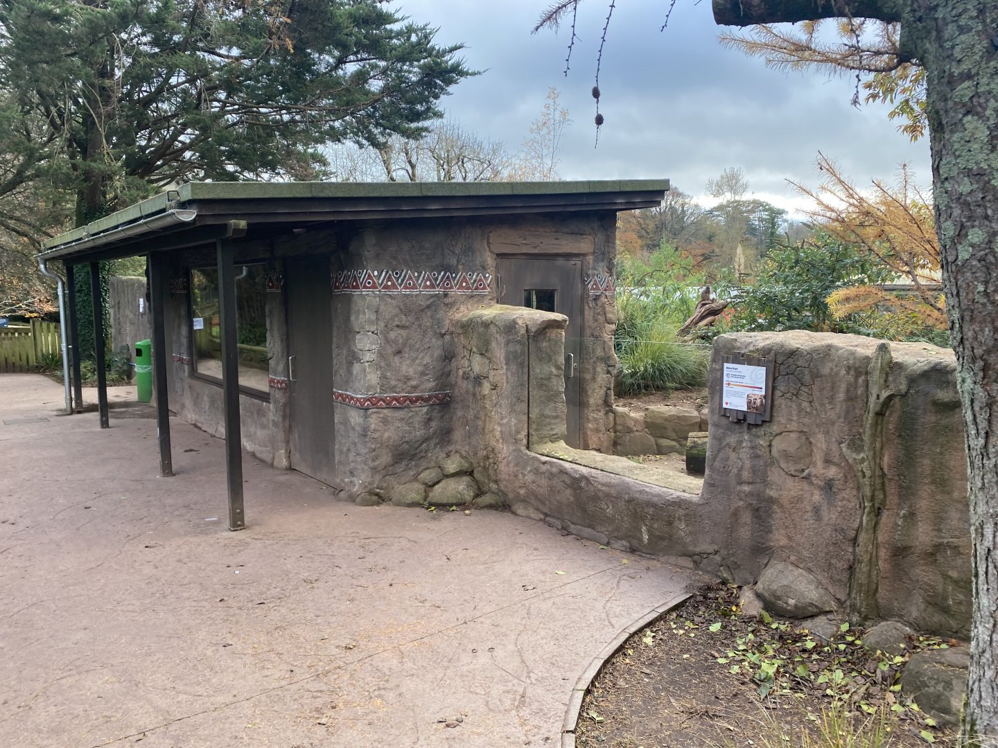 Meerkat exhibit 201121