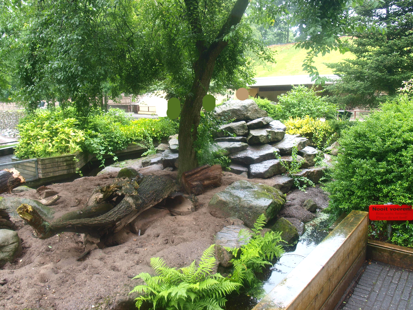 Meerkat exhibit, 2015-07-19