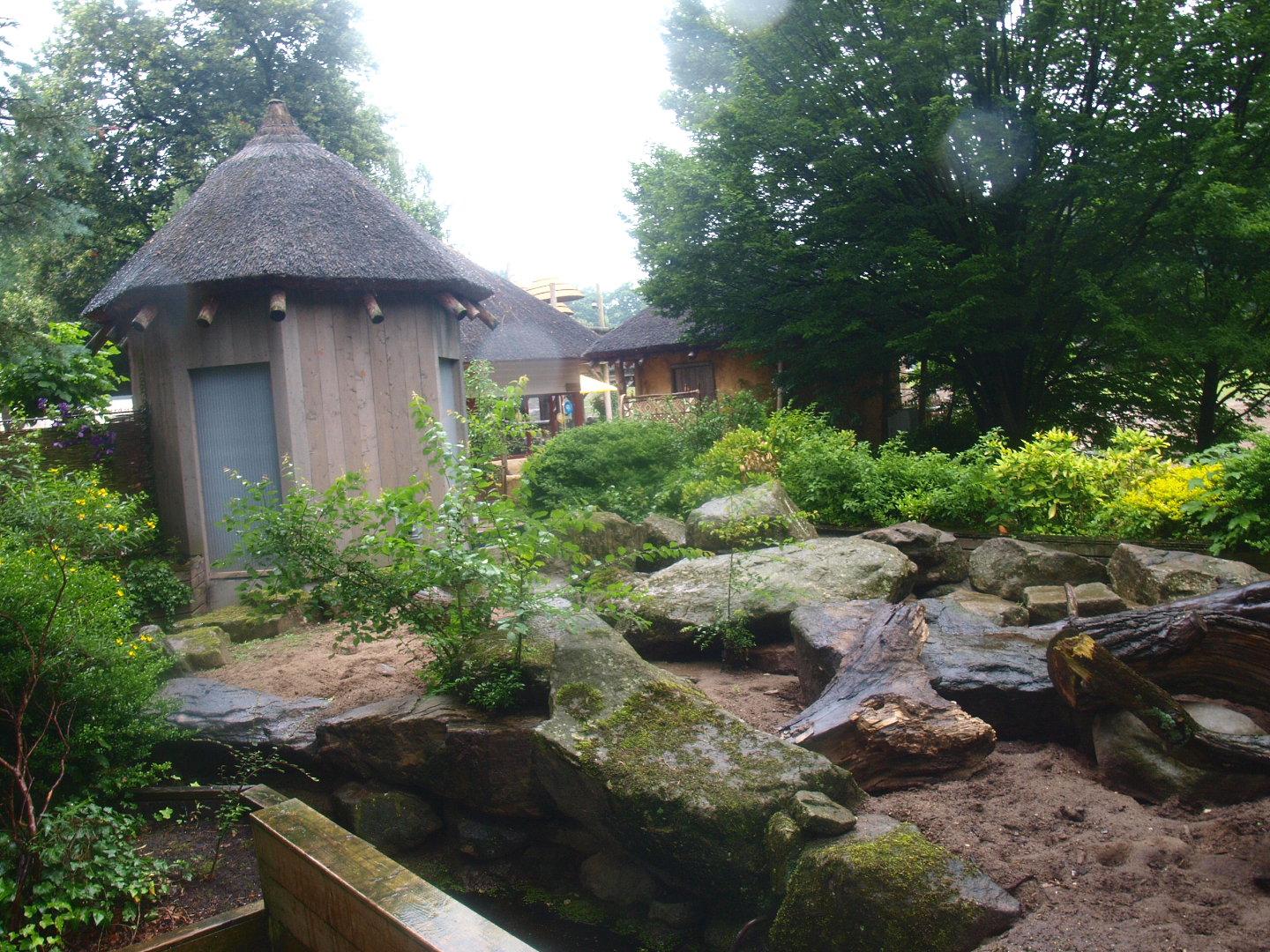 Meerkat exhibit, 2015-07-19