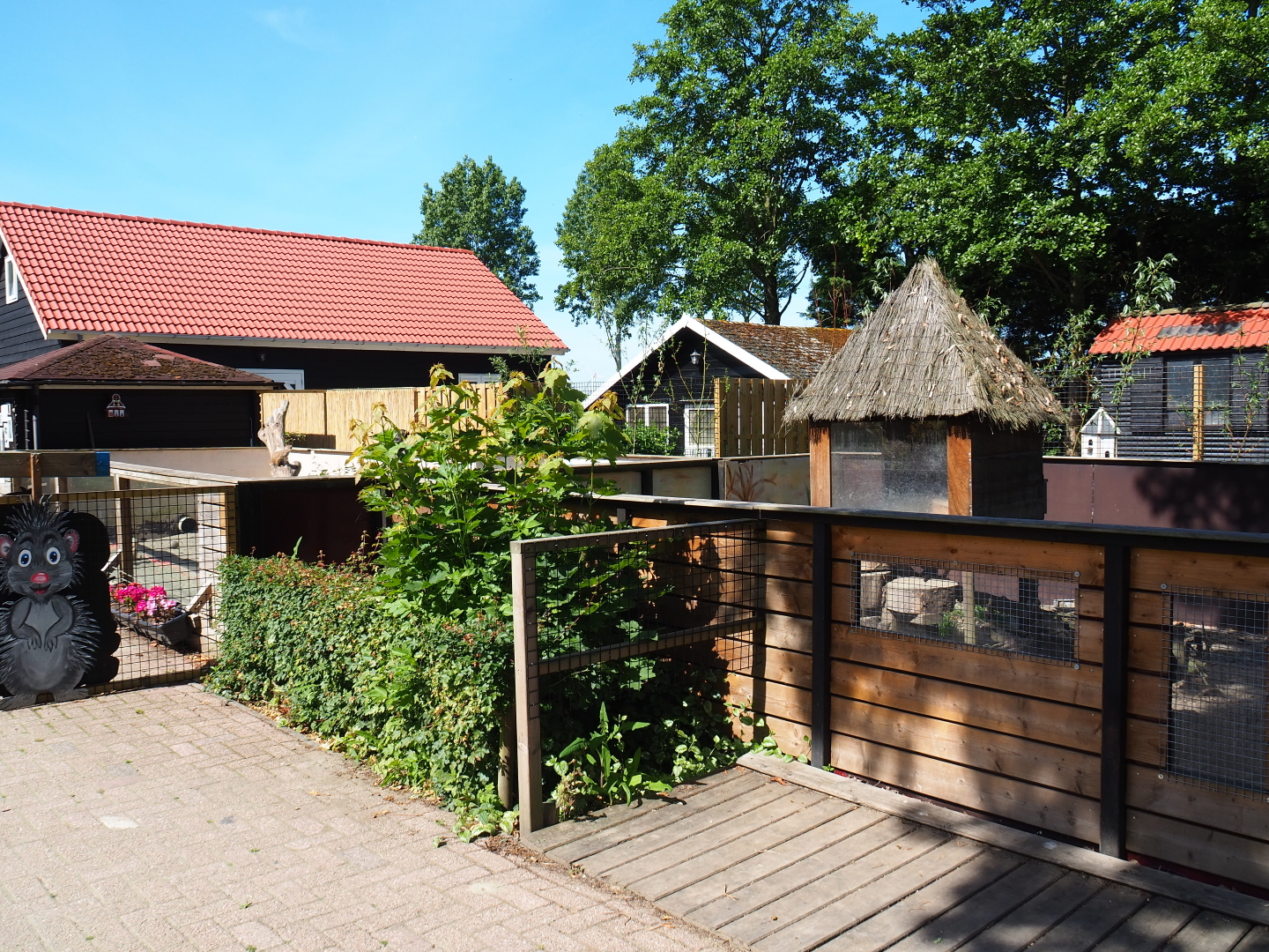 Meerkat exhibit, 2019-06-01