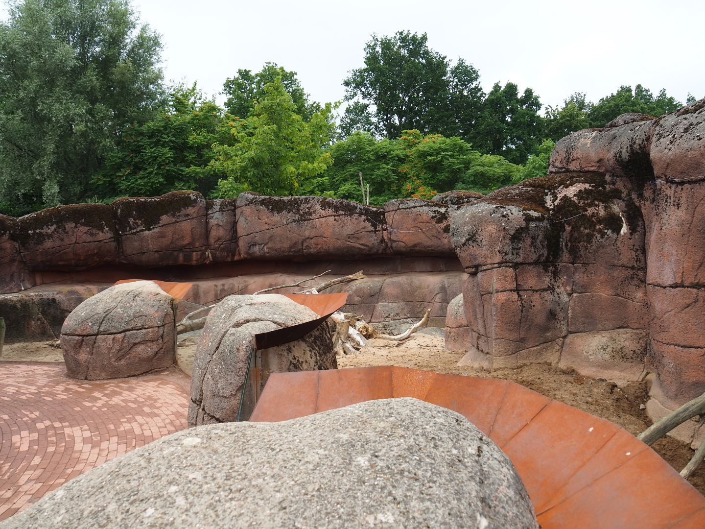 Meerkat exhibit, 2019-07-21
