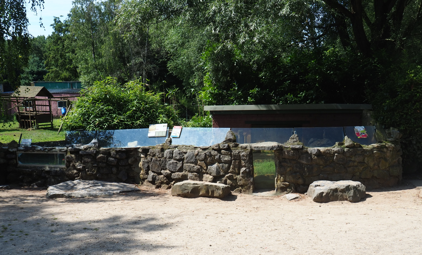 Meerkat exhibit, 2019-08-04