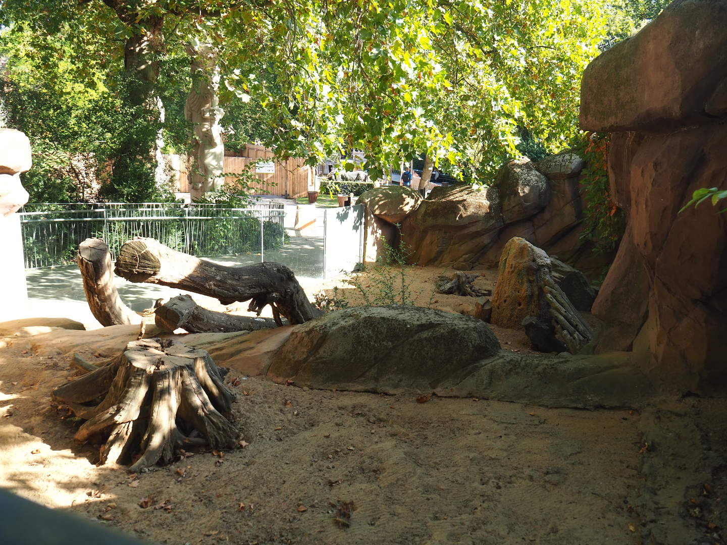 Meerkat exhibit, 2020-09-20