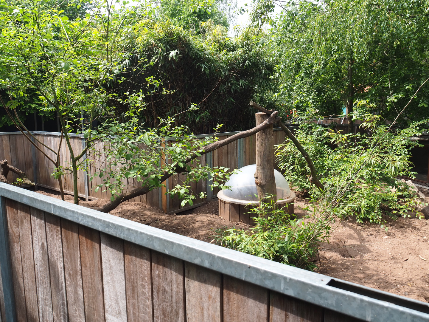 Meerkat exhibit, 2022-05-17