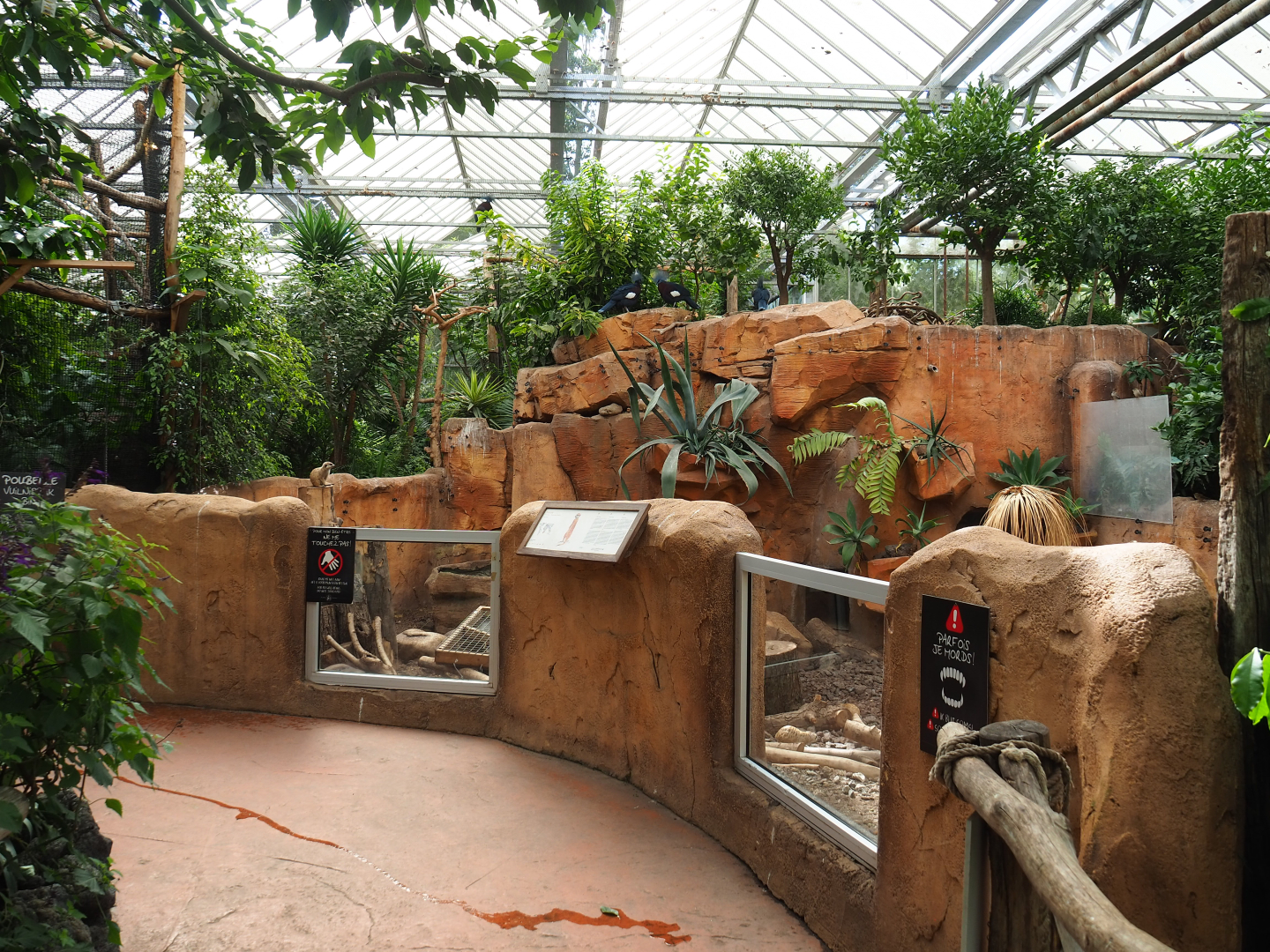 Meerkat exhibit, 2022-09-15