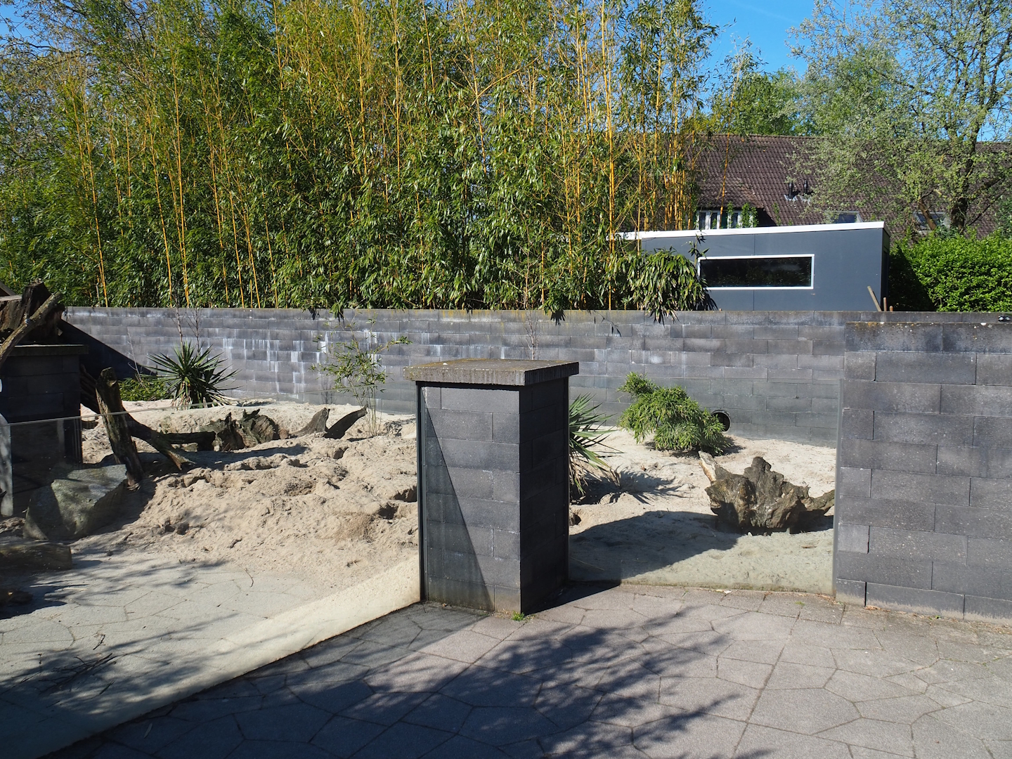 Meerkat exhibit, 2023-04-30